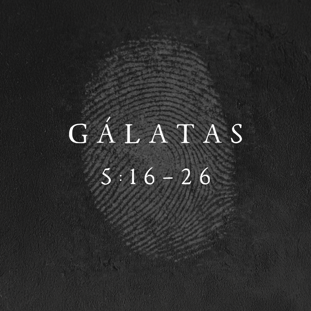 23 DE NOVIEMBRE DE 2025