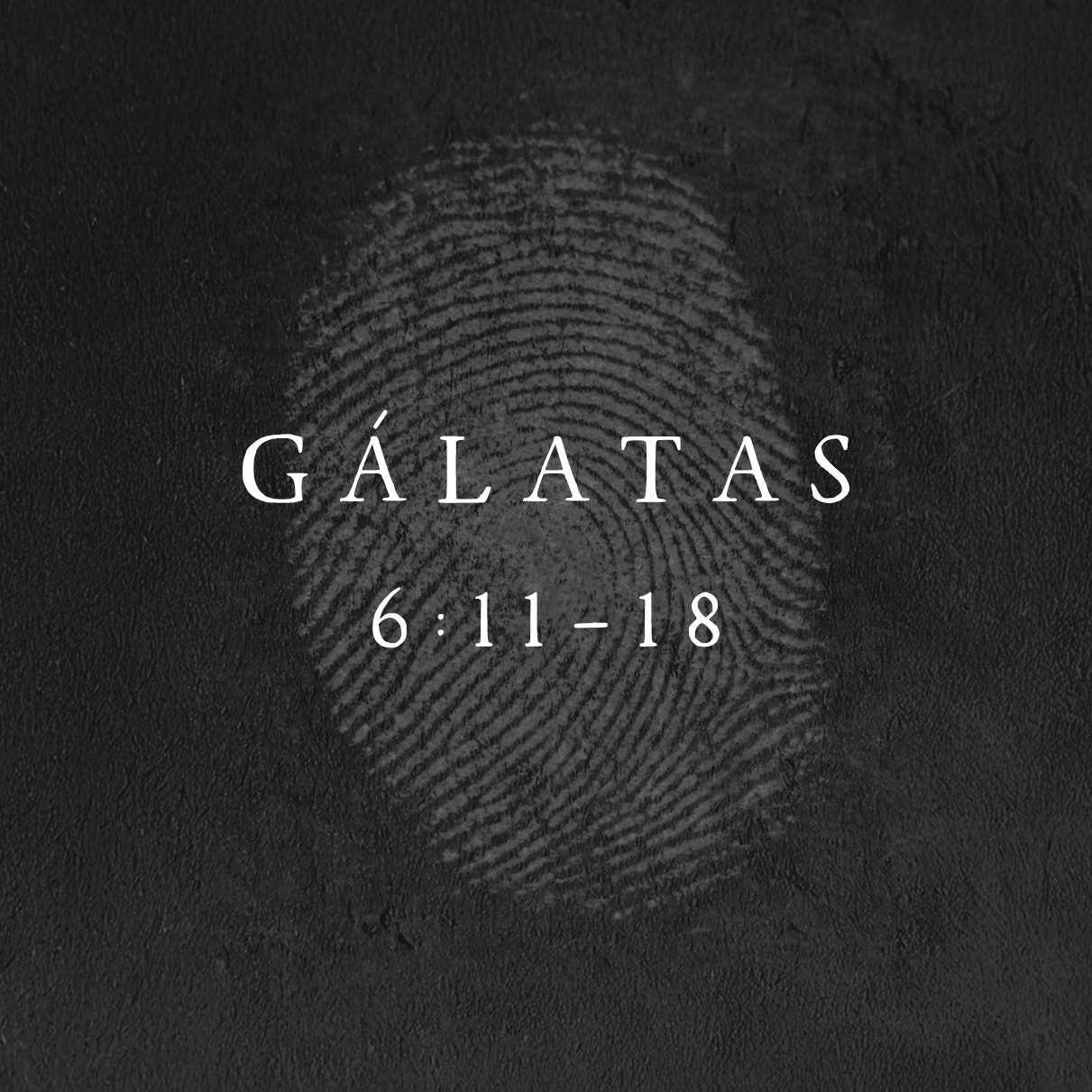 7 DE DICIEMBRE DE 2025