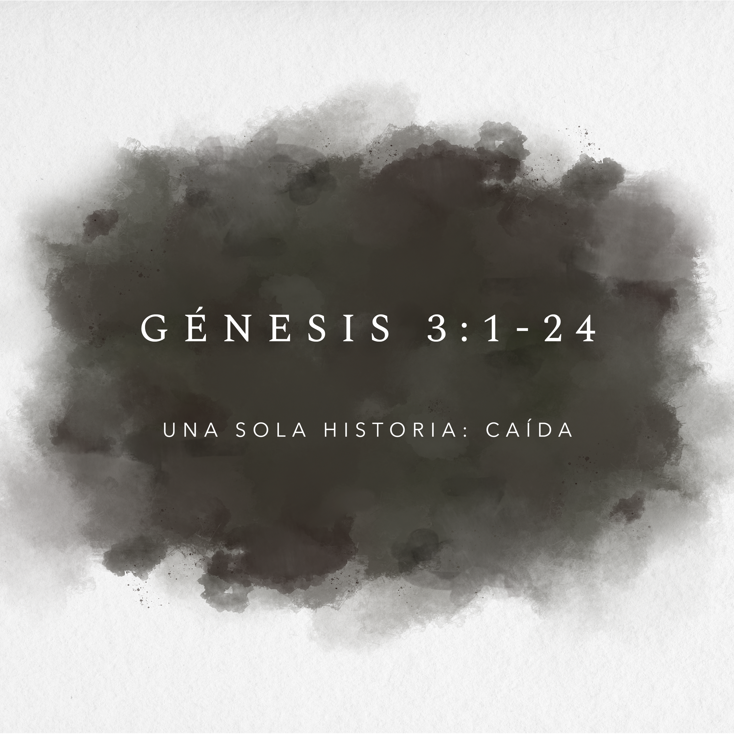 15 DE FEBRERO DE 2026