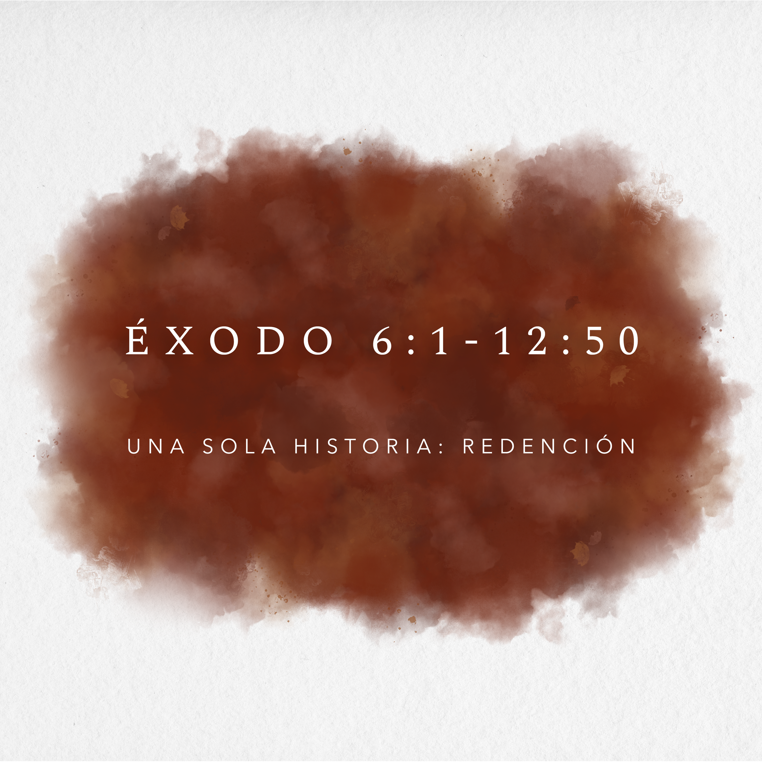 26 DE ABRIL DE 2026