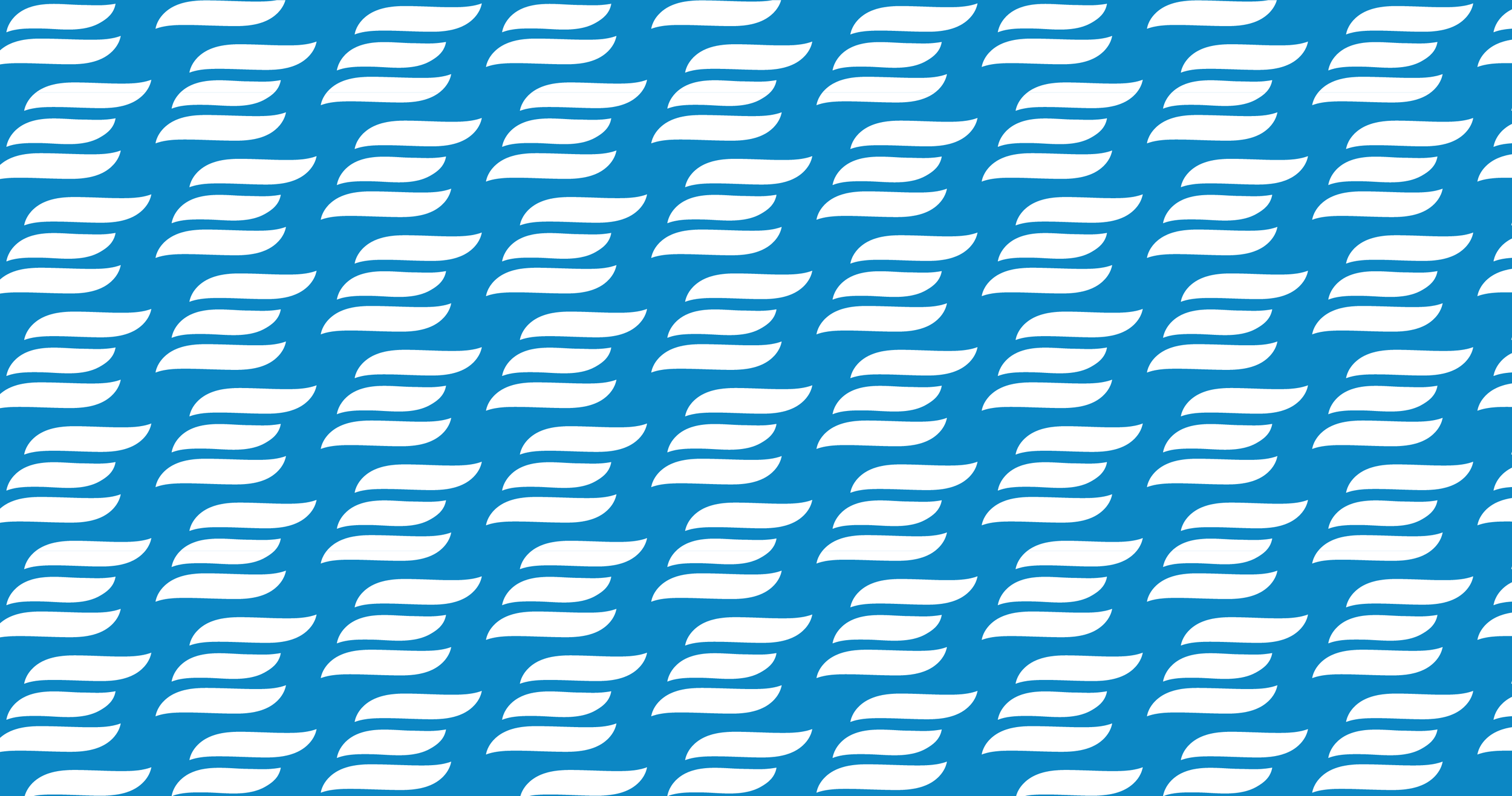 EverStream-Capital-Brand-Pattern copy.png