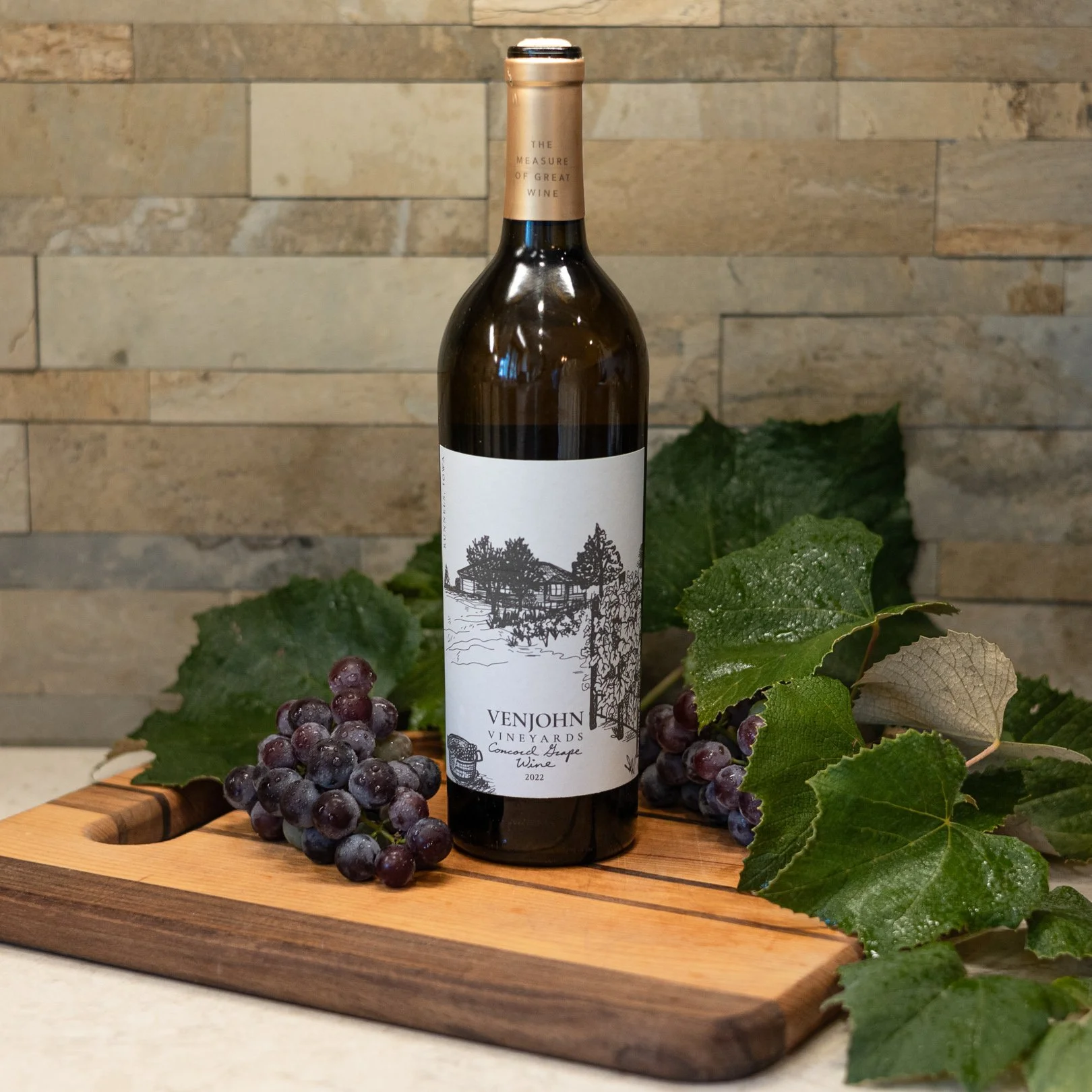 Venlo-Studio-9150 2.jpg