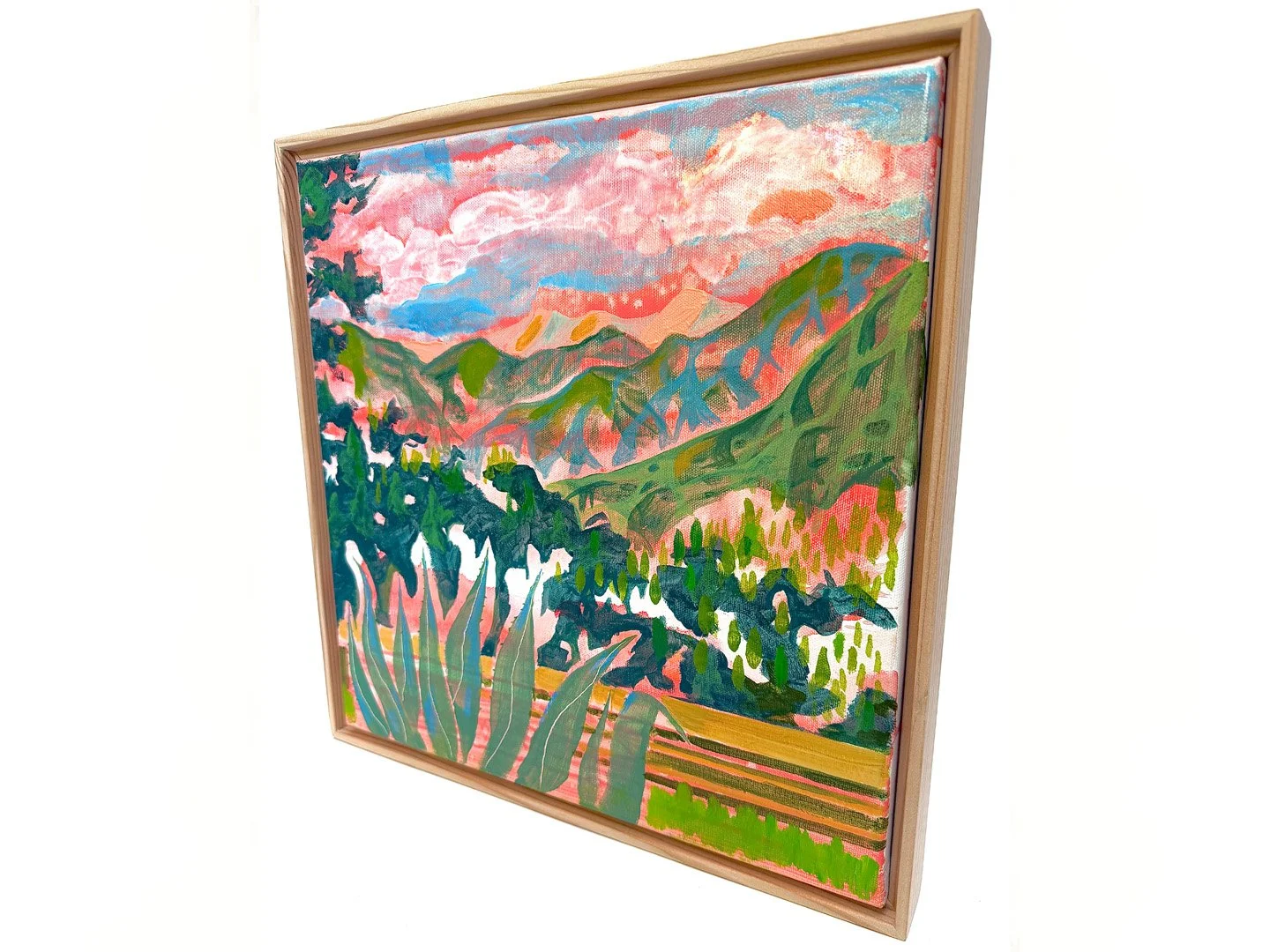 Front Yard 1 store.jpg