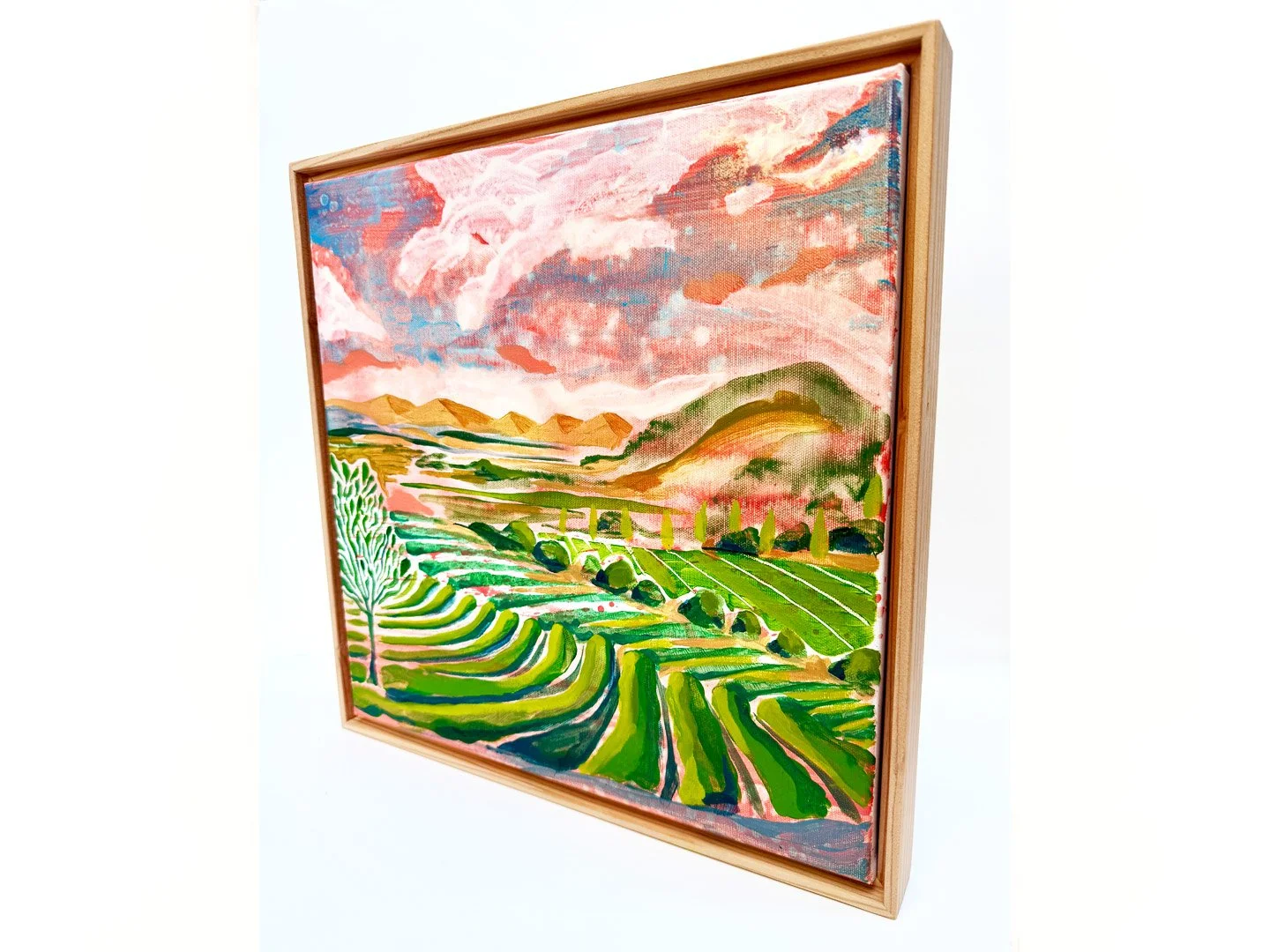 Camarillo 1 store.jpg