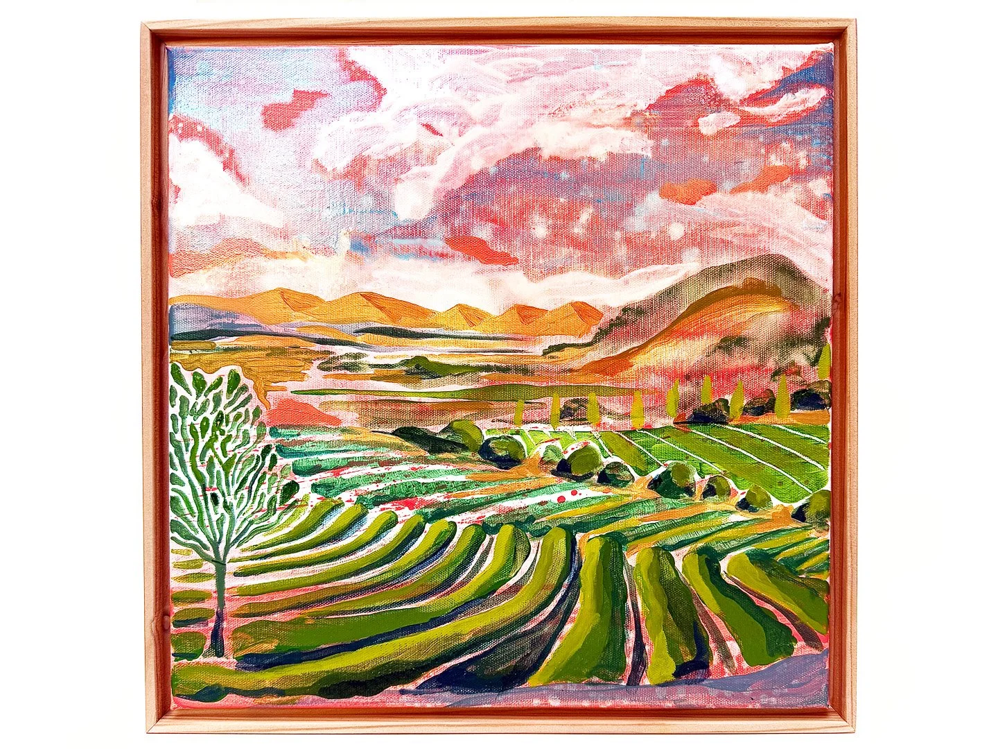 Camarillo 2 store.jpg