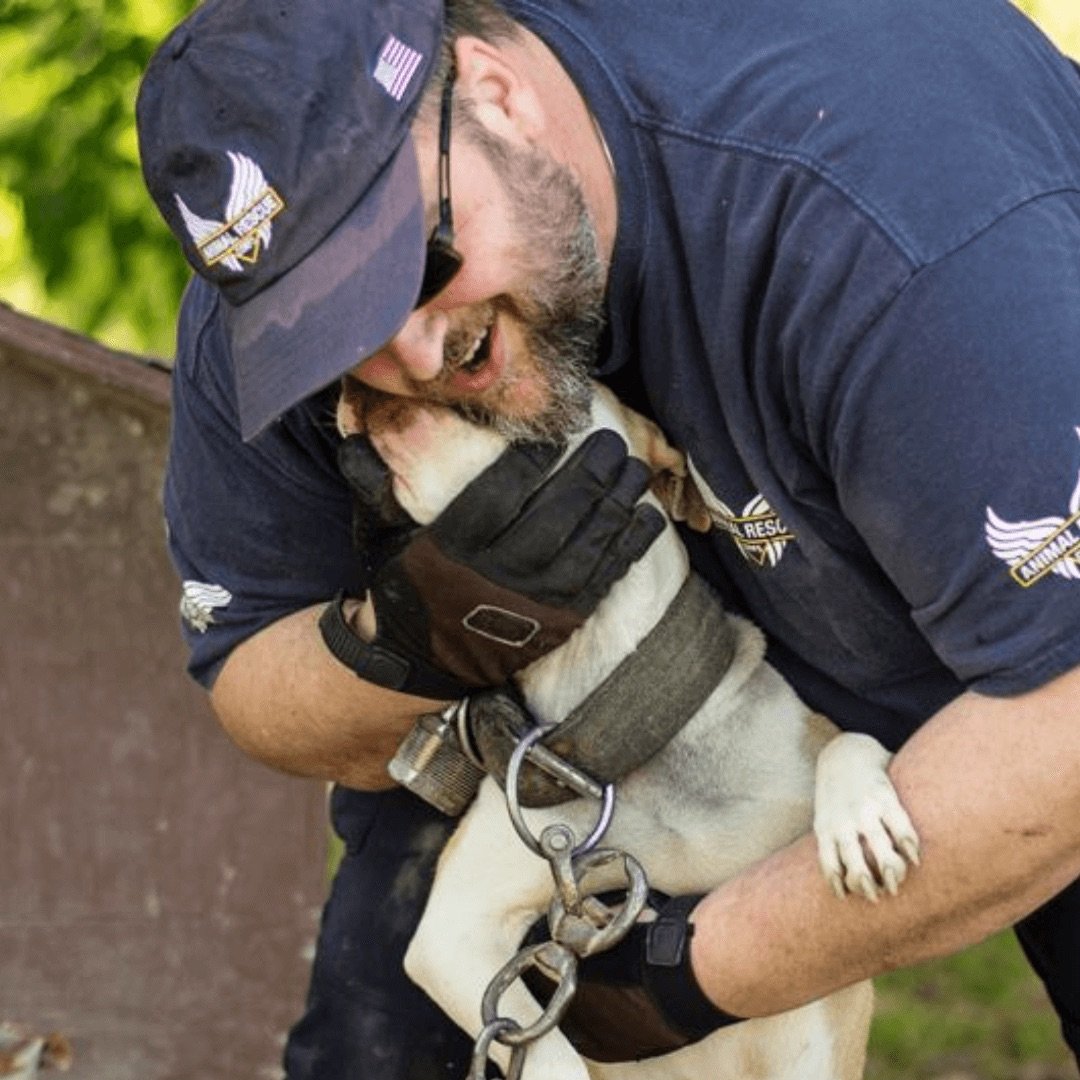 animal rescue corps tim woodward kissing dog.jpeg