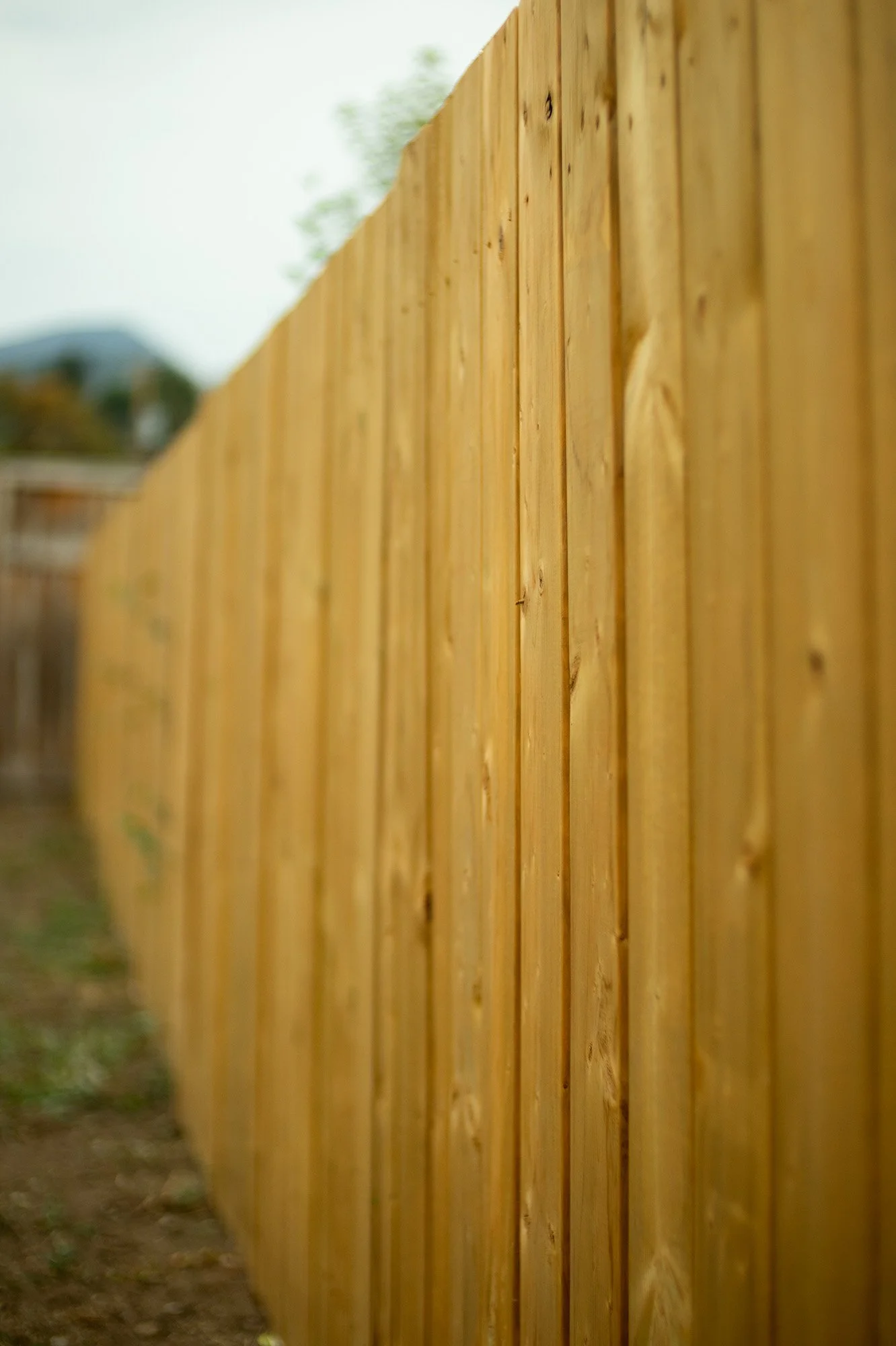Fence Construction.jpg