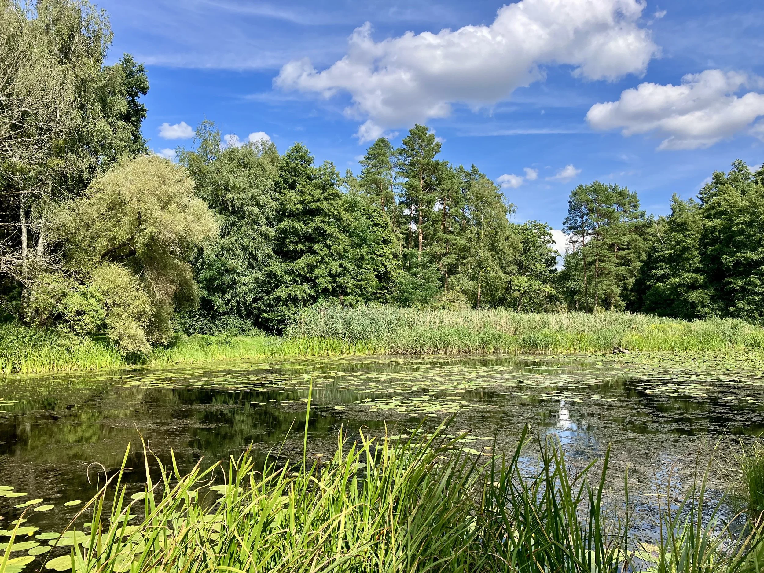 IAKP Basic Practitioner Training.
 Berlin, Germany 
 July 29 - August 12 2026 
 For more details email martina@kambo.berlin 