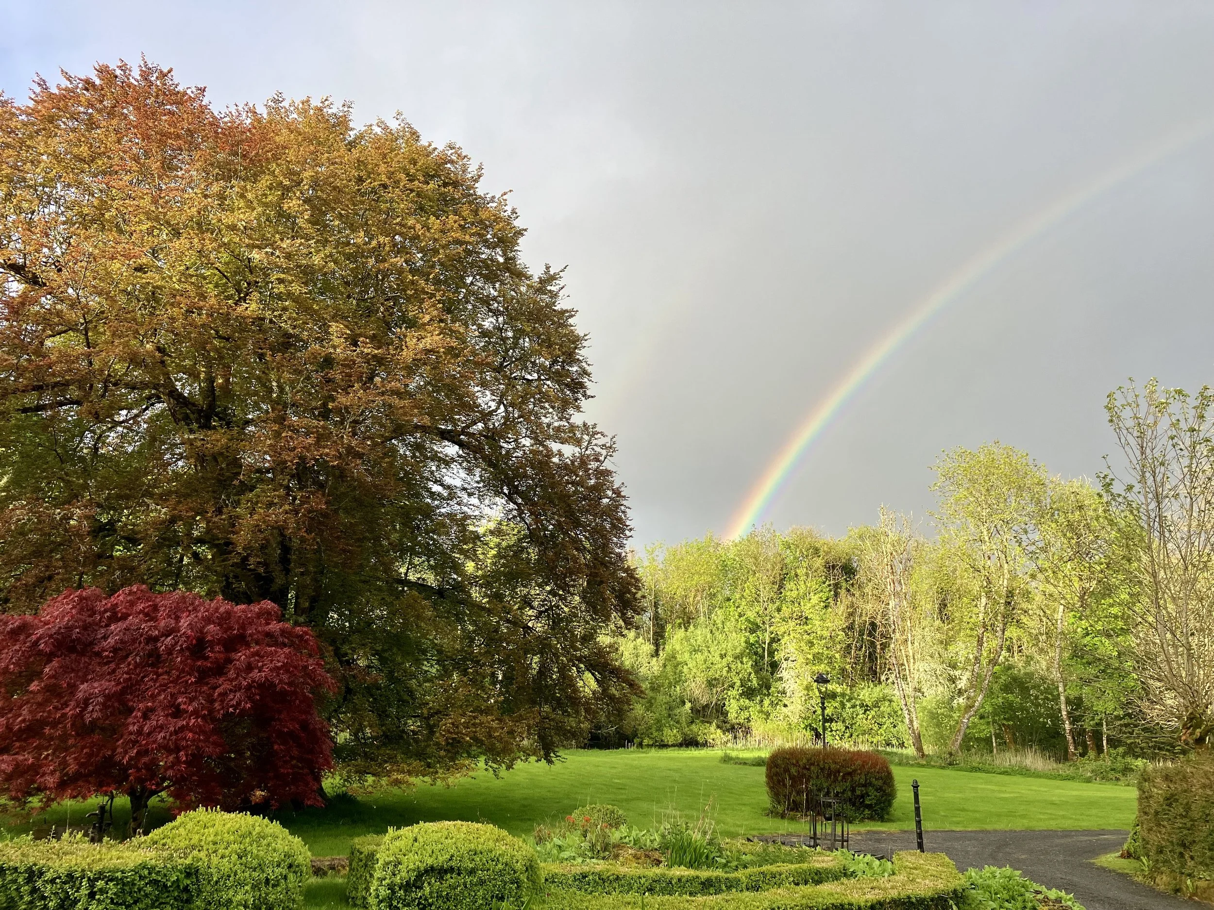 IAKP Basic Practitioner Training.
 Roscommon, Ireland 
 June 5th-19th 2026 
