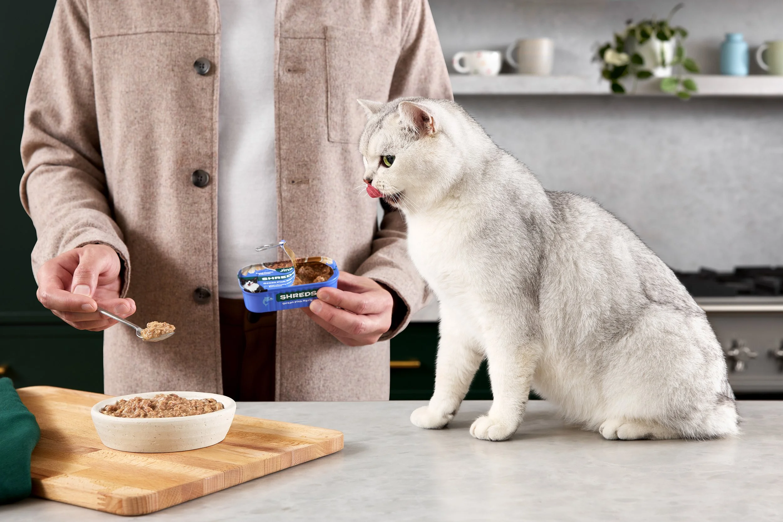 A person in a beige coat feeding a cat with a spoon in a kitchen. The cat is sitting on a gray countertop, licking its lips, looking at the food.