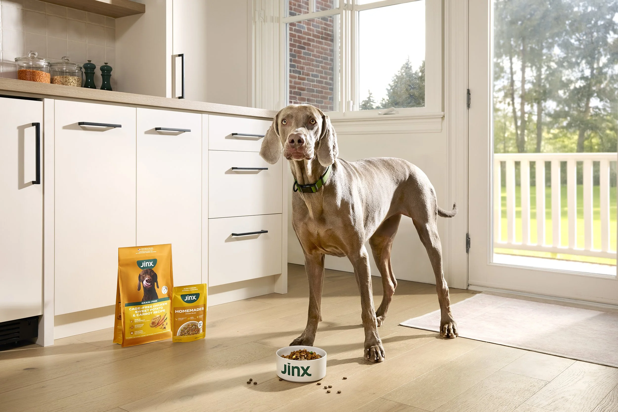 Dog standing in a kitchen with Jinx dog food products and a food bowl on the floor.