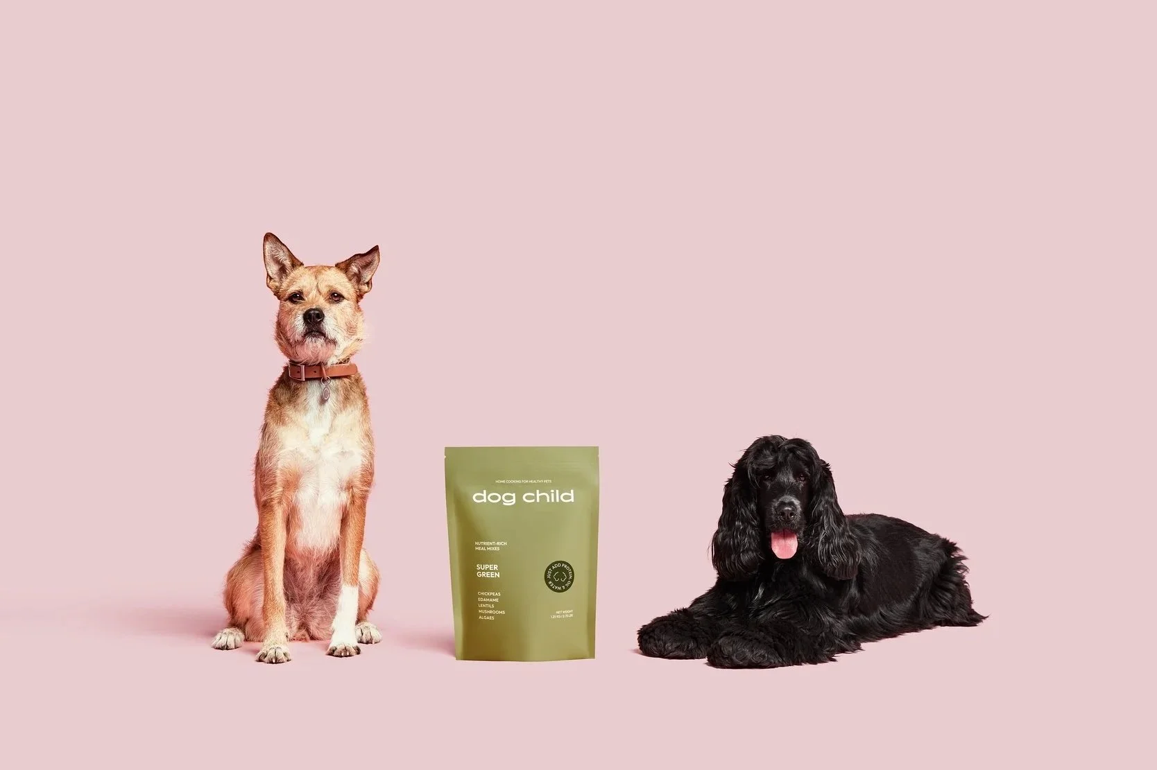 Two dogs—one tan and sitting upright, the other a black long-haired breed lying down—posed next to a Dog Child Super Greens pet food package against a muted pink background. The clean, contemporary styling highlights premium pet nutrition. Captured b