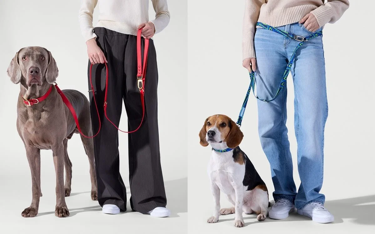 I recently shot Pawbasket&rsquo;s launch campaign and shot over 100 images in a single day. 😅 🐶 

A mix of e-commerce, on-figure, and stylized banners. A lot of moving parts, a tight timeline, and a high bar for quality. Days like this don&rsquo;t 