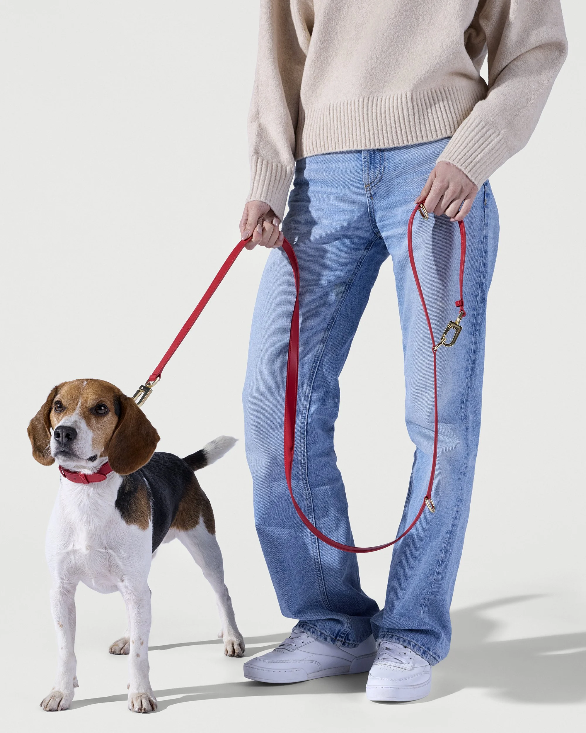 Pawbasket0556.jpg