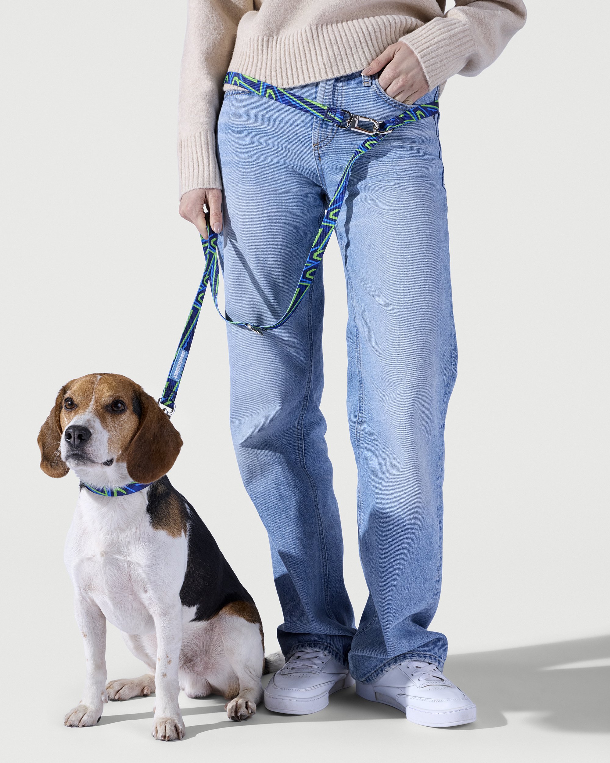 Pawbasket0609.jpg