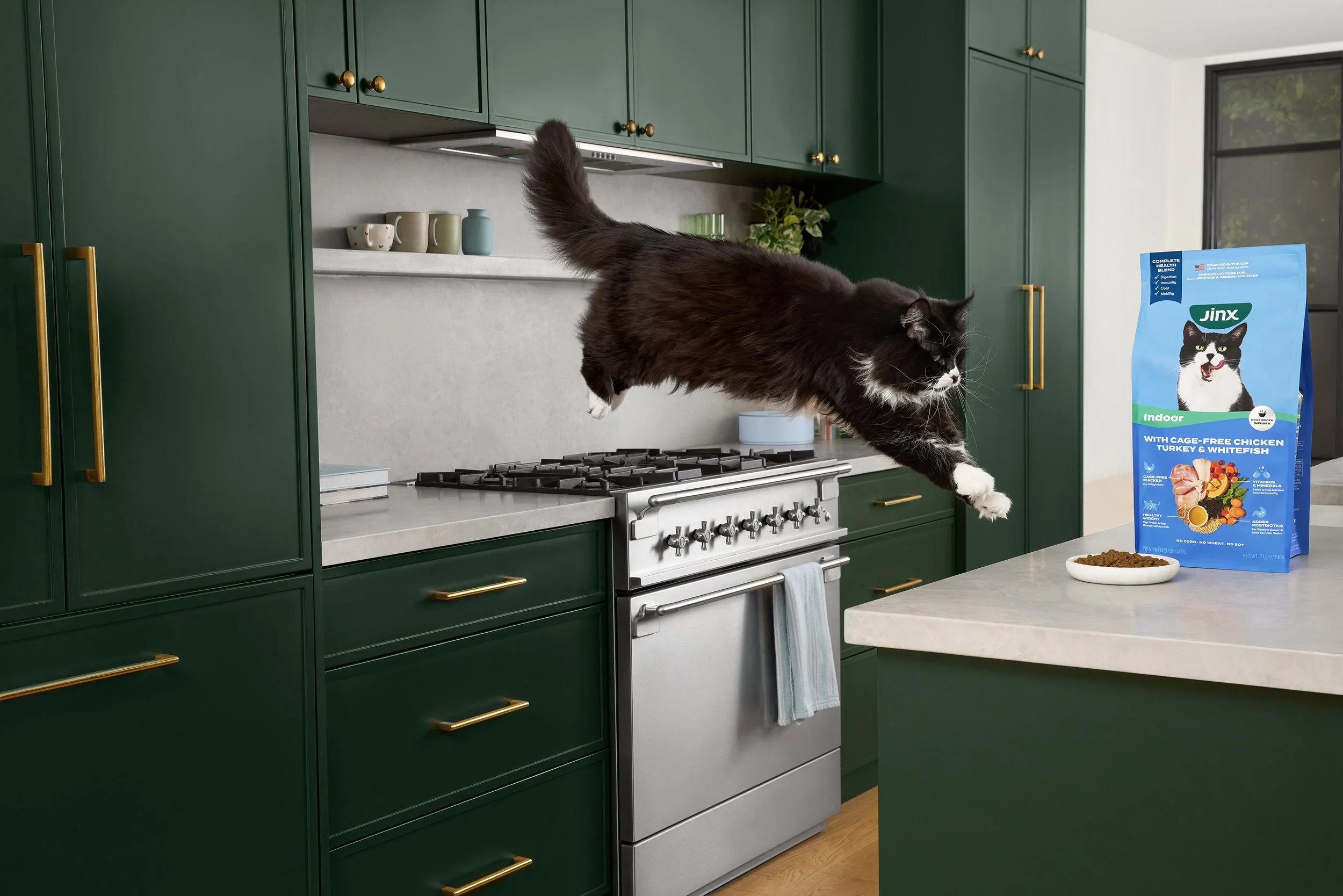 A black and white cat leaping through the air in a modern kitchen with green cabinets, a stainless steel stove, and a pack of Jinx cat food on the counter.