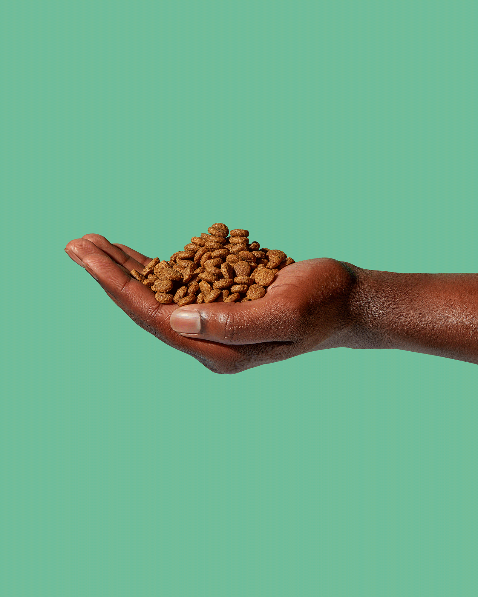Hand holding dry pet food against green background
