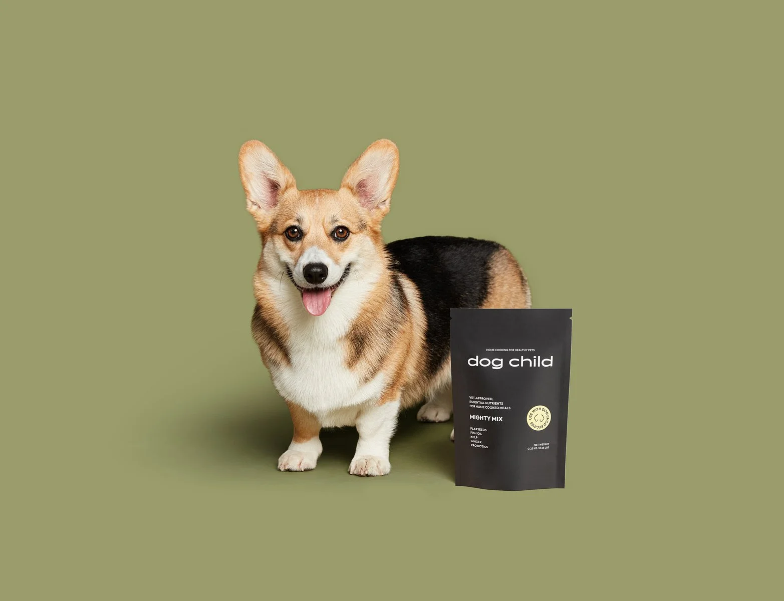 Dog Child - Product, Food, Pet, Portrait, & Lifestyle Photography