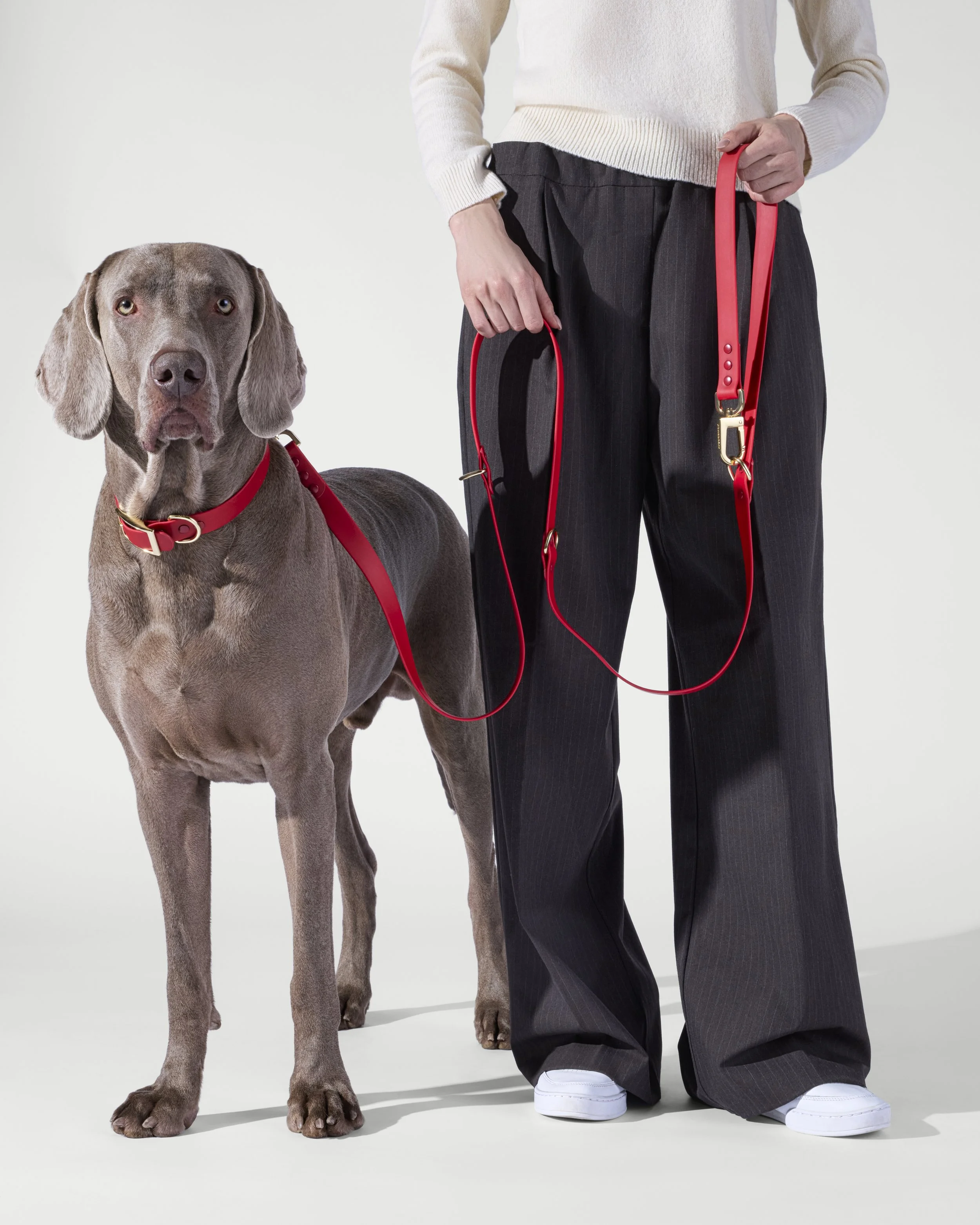 Pawbasket0795.jpg