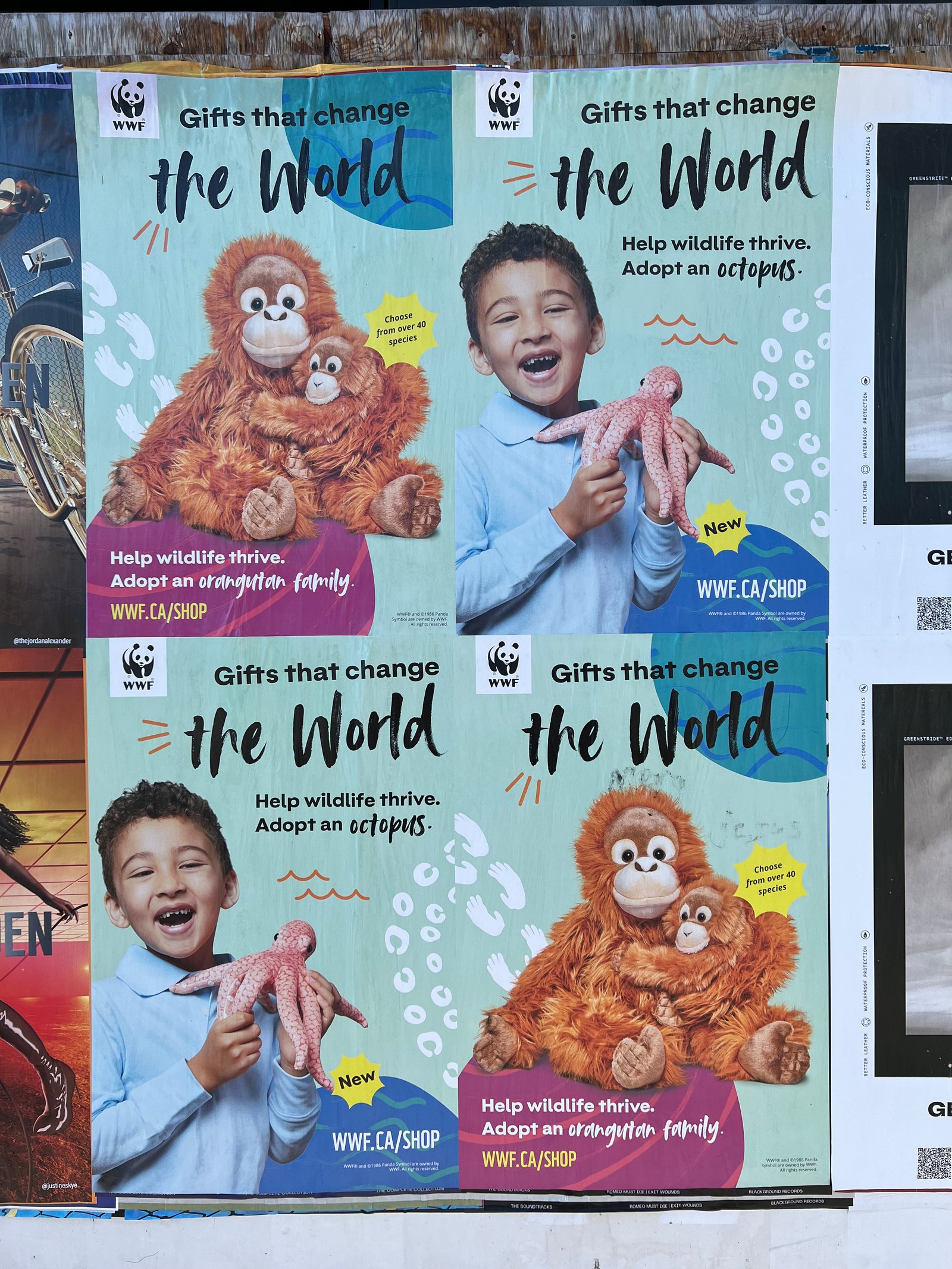 World Wildlife Fund - Product, & Portrait Photography