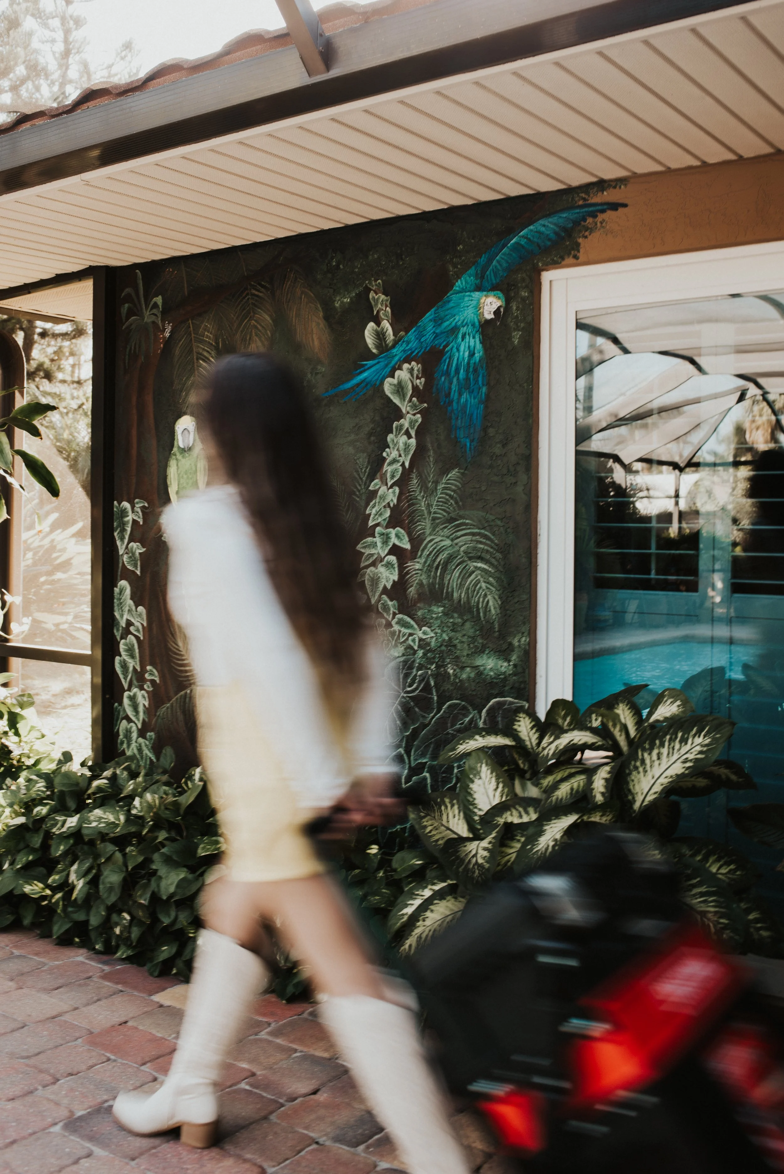 INSIDE A MURAL PAINTER’s TOOL BOX