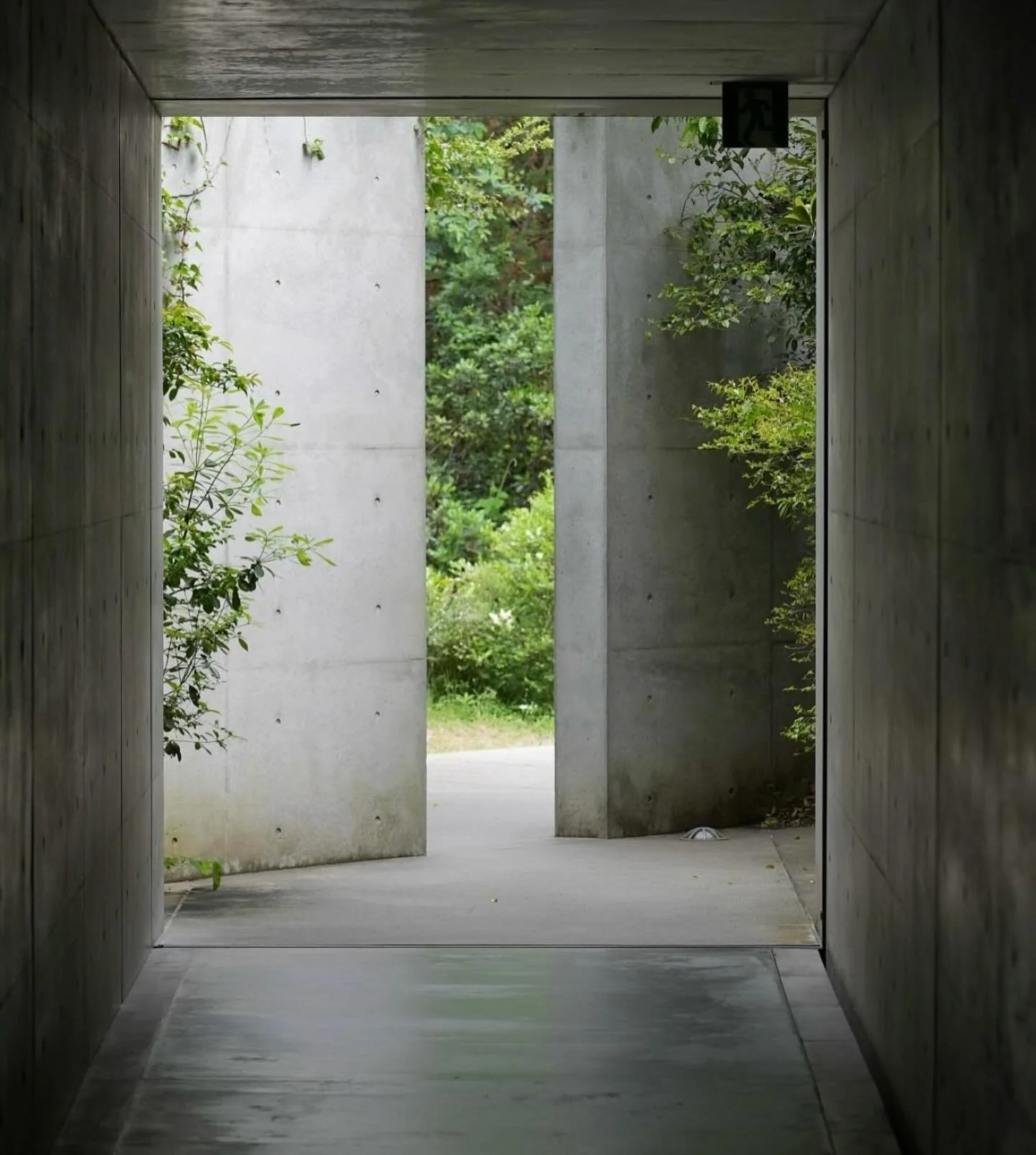 forever inspired by the goat Tadao Ando.