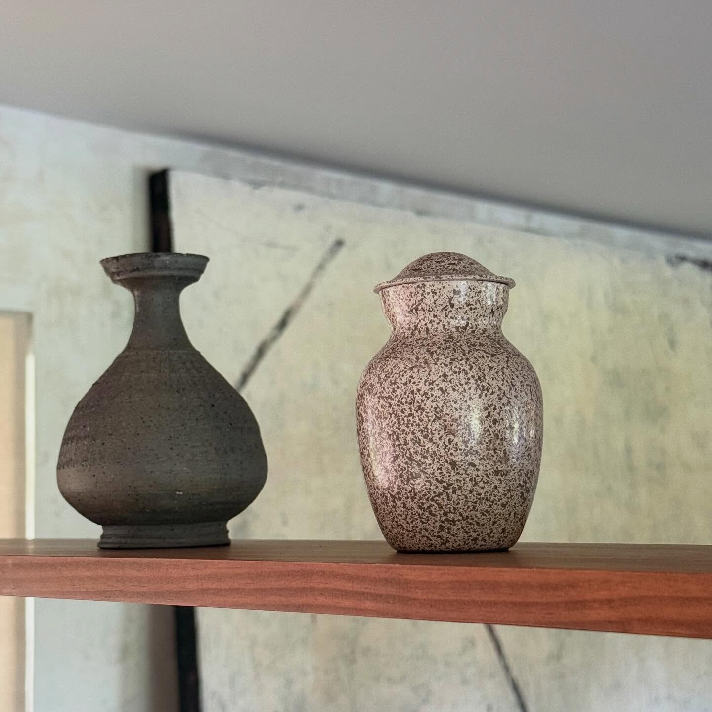 🪽