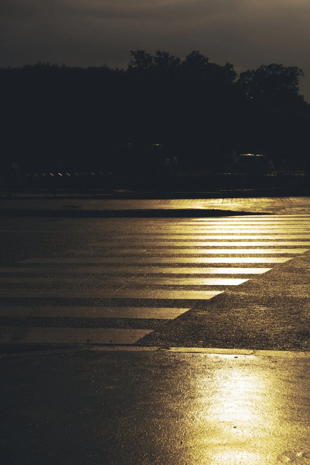 @PhotosByBrendaBrooks Paris 7:23:25 - 94.JPG