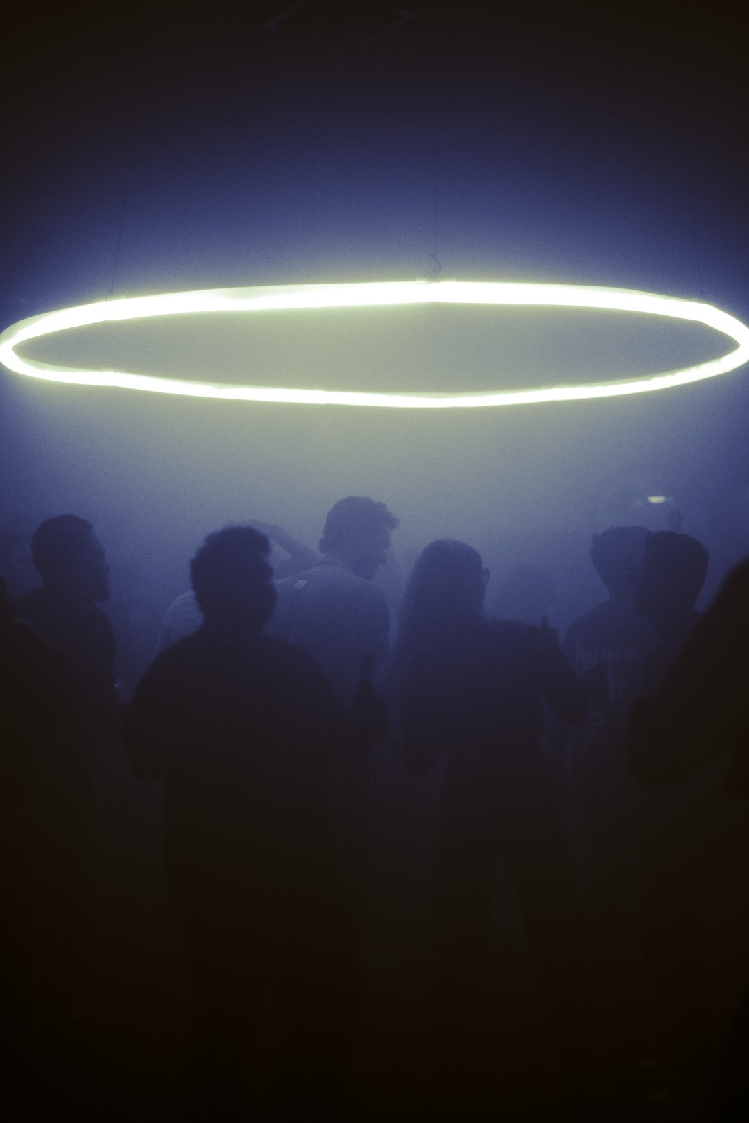 @PhotosByBrendaBrooks Verbs 2.3.24 - 40.JPG