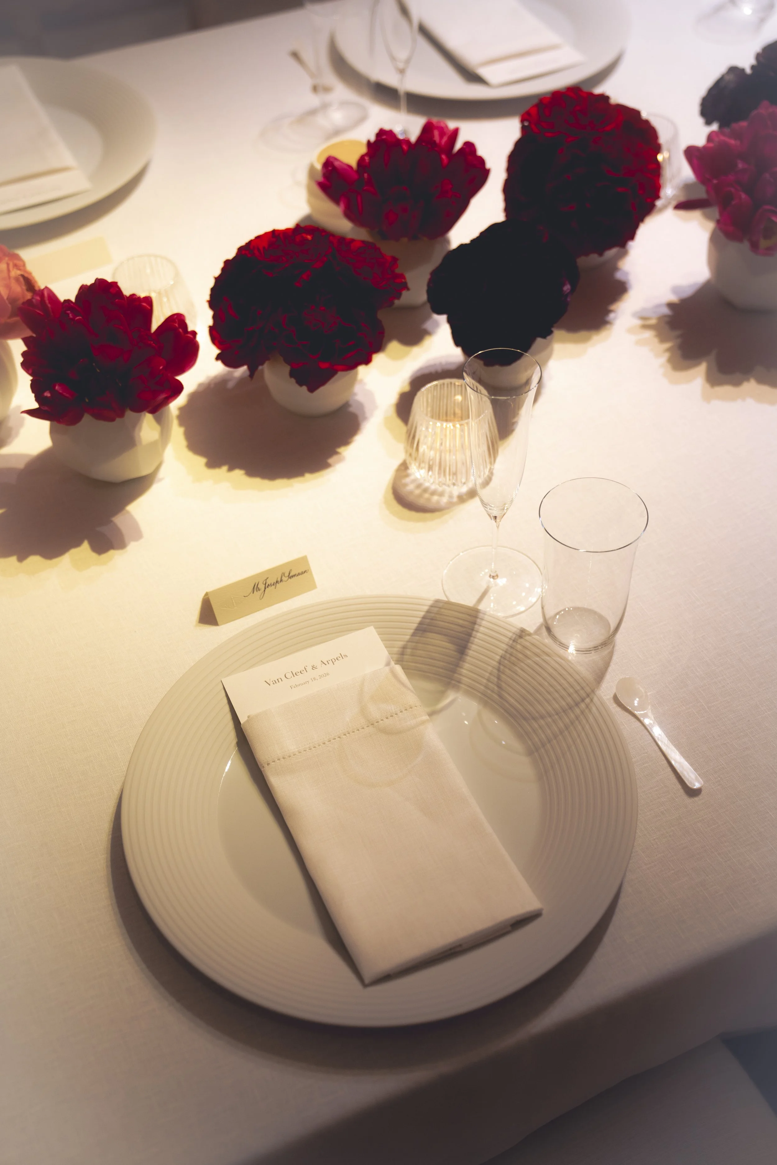 @PhotosByBrendaBrooks VCA 2.17.26 - 37.JPG