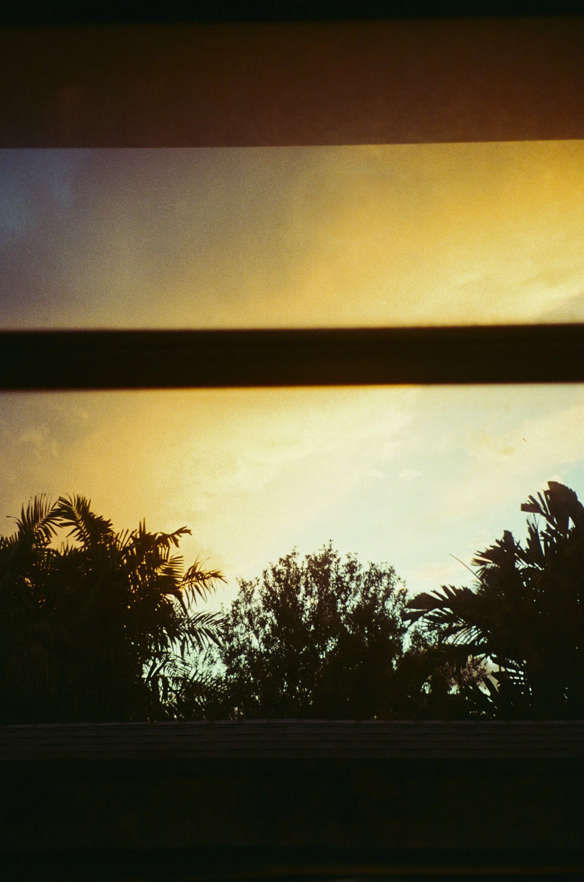 @FilmByBrendaBrooks 9.22.25 - 9.JPG