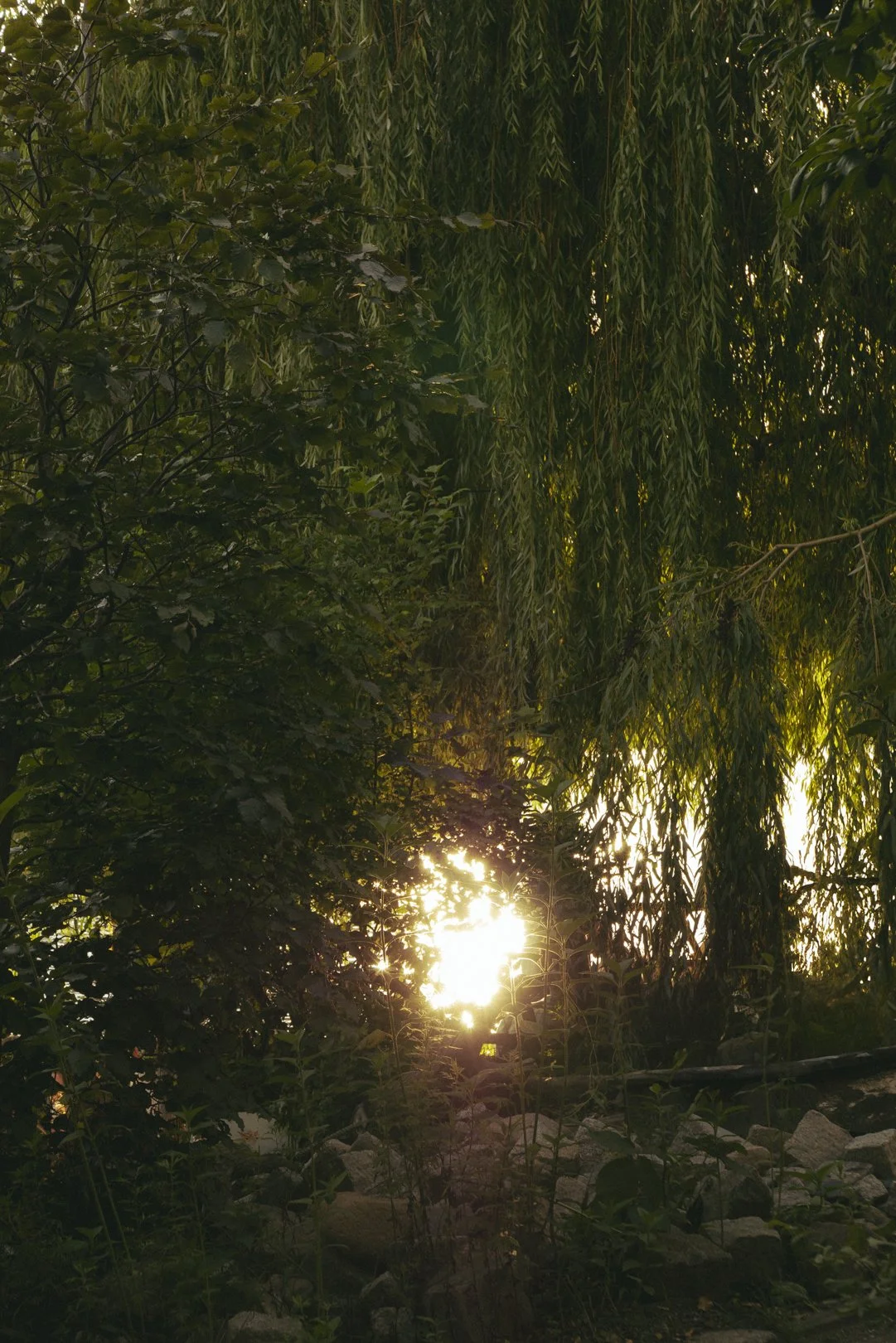 @PhotosByBrendaBrooks Berlin 7:30:25 - 70.JPG