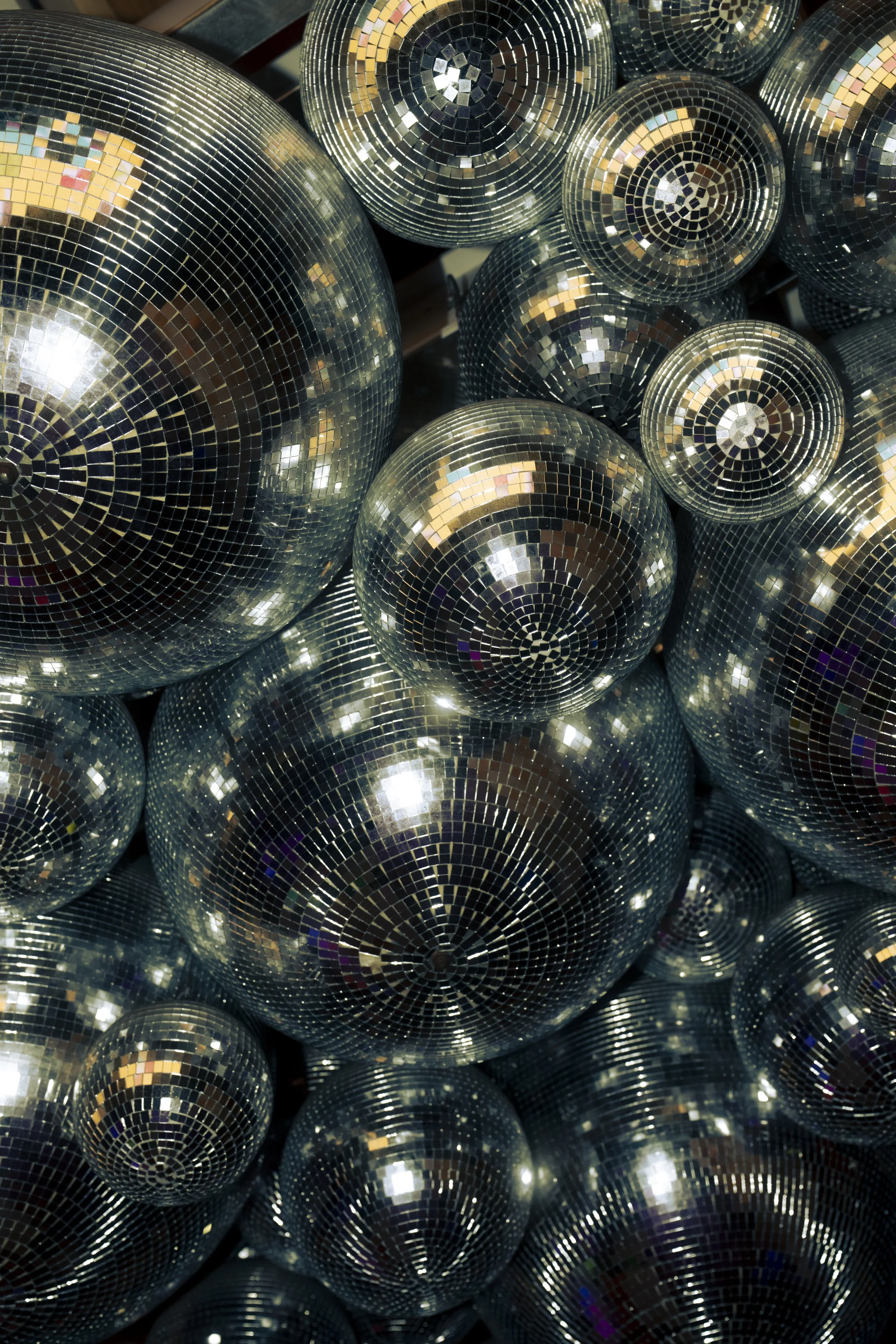 @PhotosByBrendaBrooks Over Easy 12.14.25 - 55.JPG