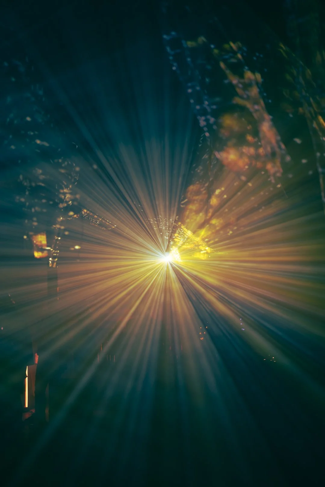 @PhotosByBrendaBrooks Aura Dance 11.10.23 - 36.JPG