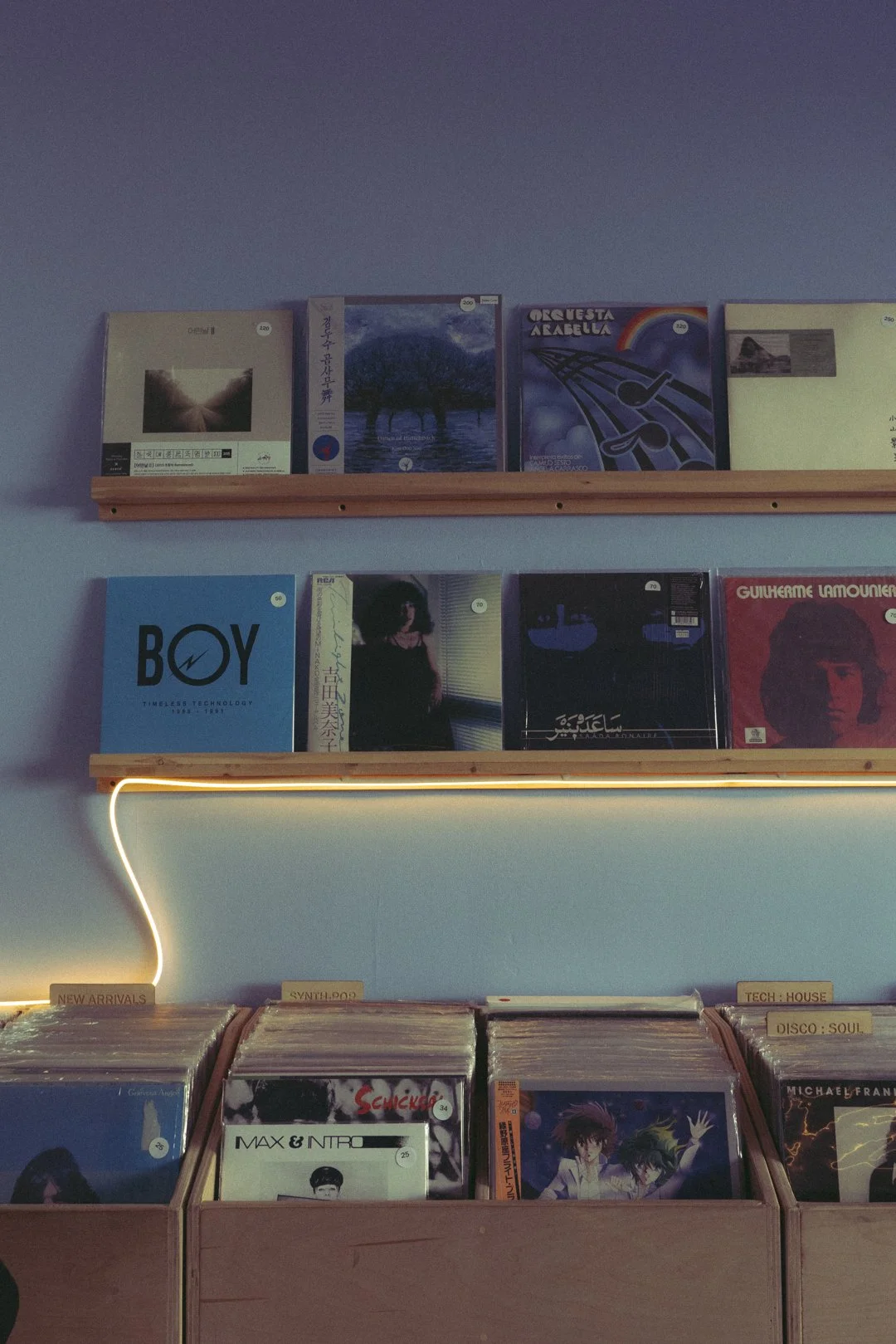 @PhotosByBrendaBrooks NYC 2:24 - 1.JPG