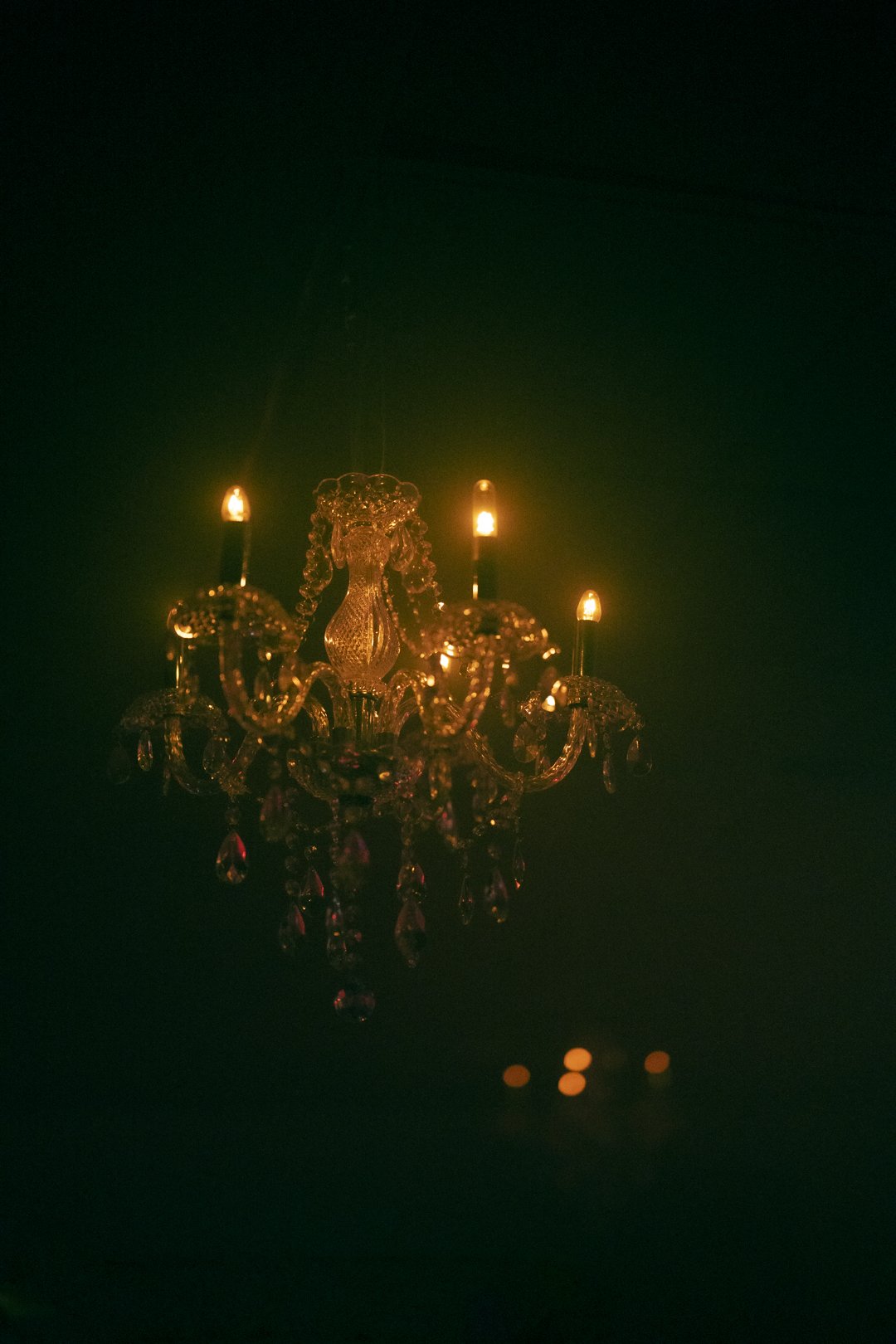 @PhotosByBrendaBrooks Verbs 11.16.24 - 26.JPG