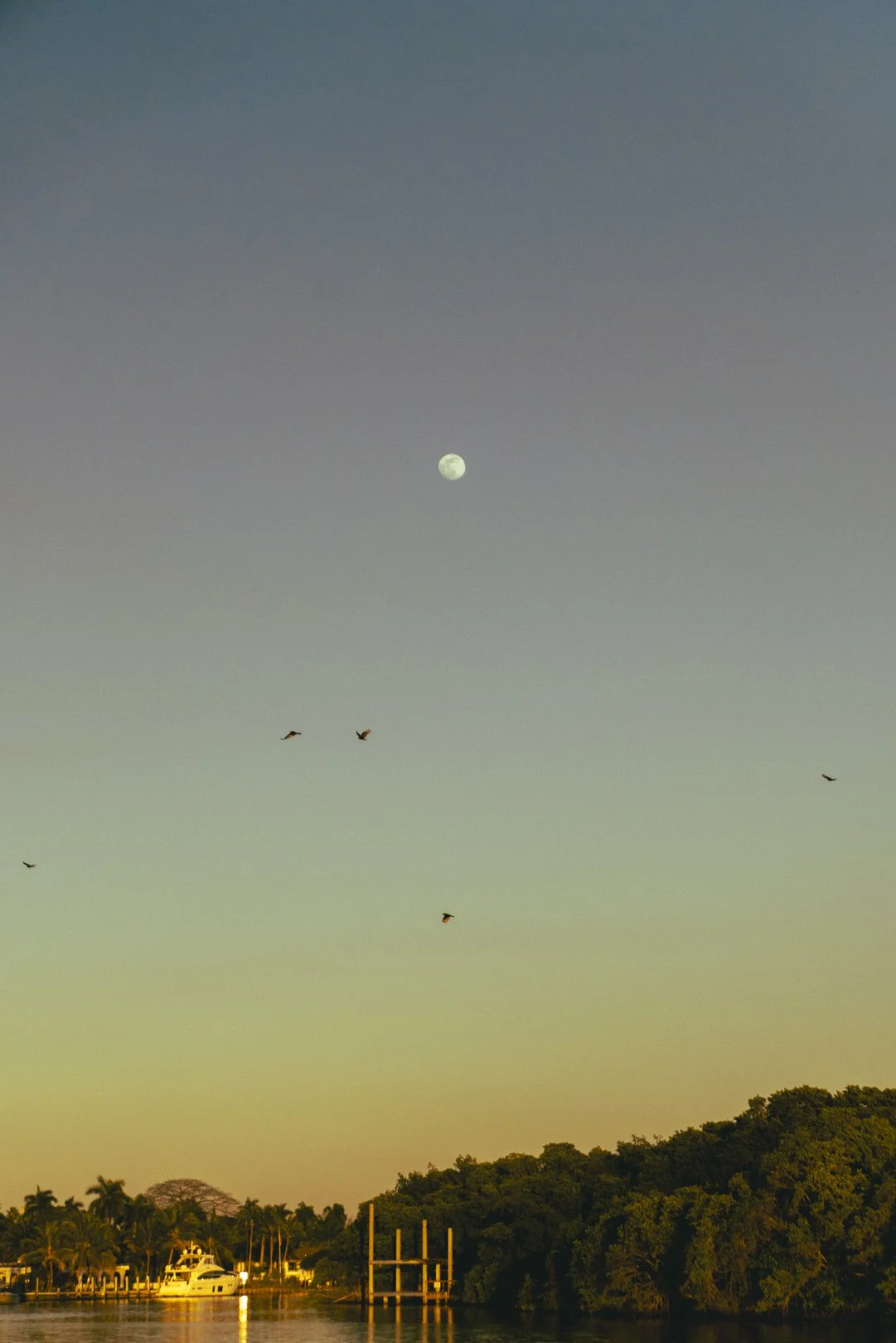 @PhotosByBrendaBrooks 1.1.26 - 3.JPG