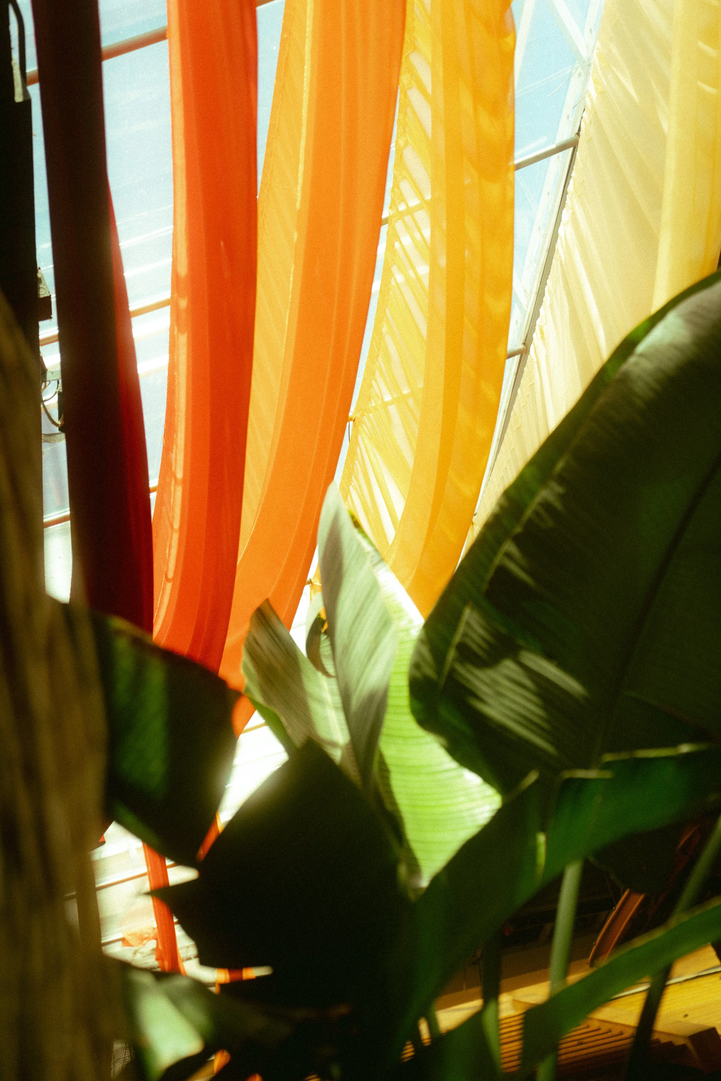 @PhotosByBrendaBrooks Space 3.29.26 - 7.JPG