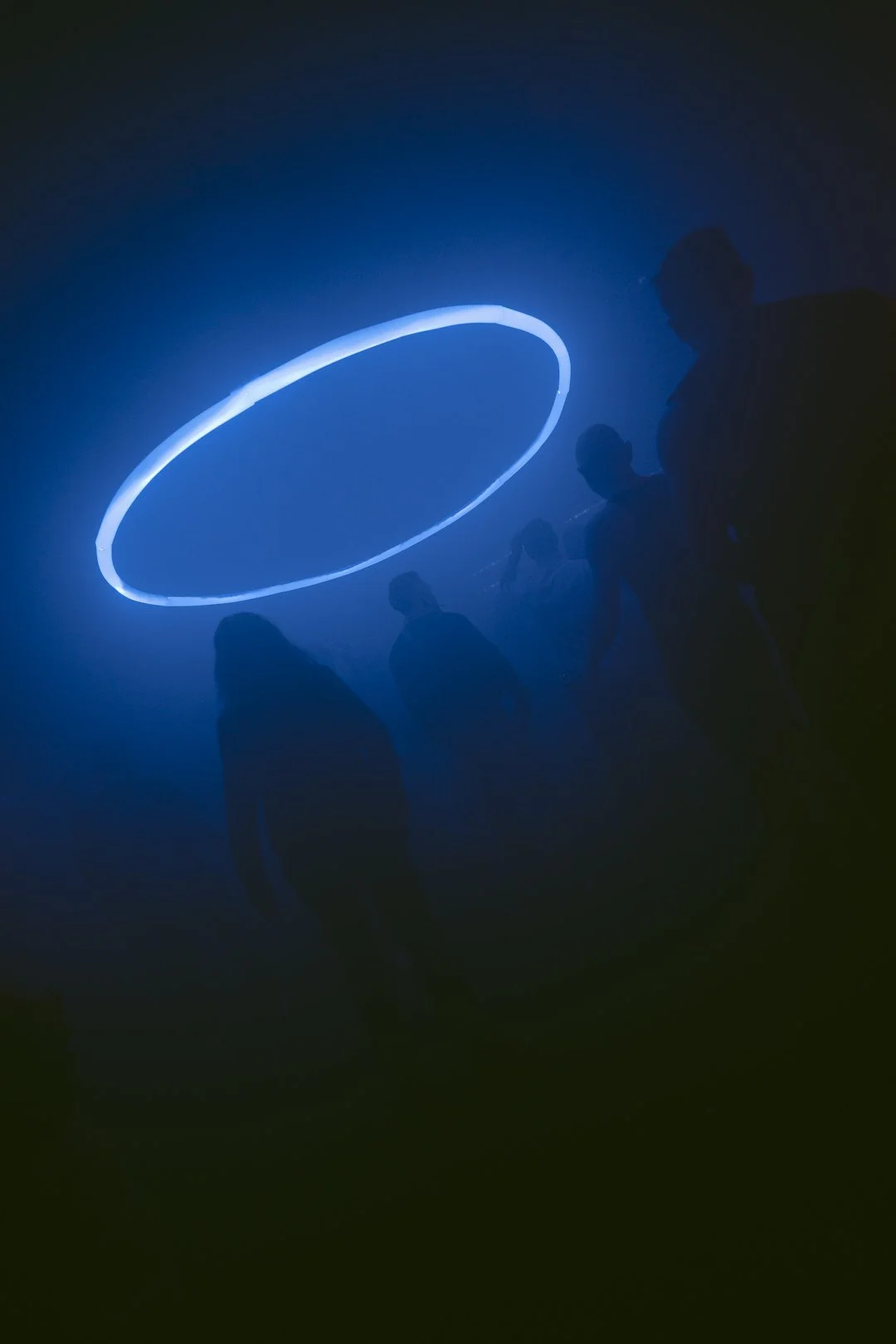 @PhotosByBrendaBrooks Verbs 2.3.24 - 53.JPG