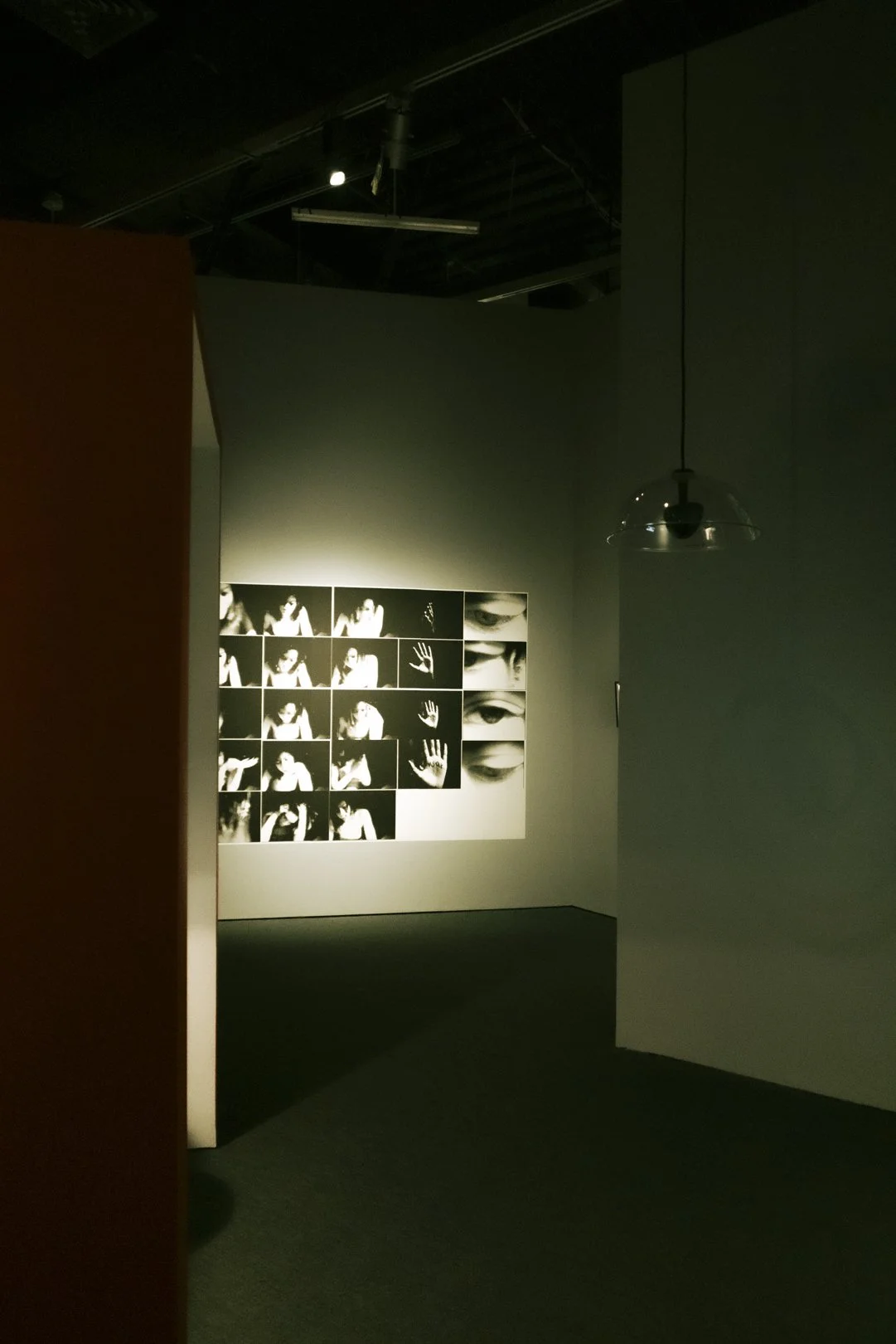 @PhotosByBrendaBrooks NYC 11.7.24 - 83.JPG