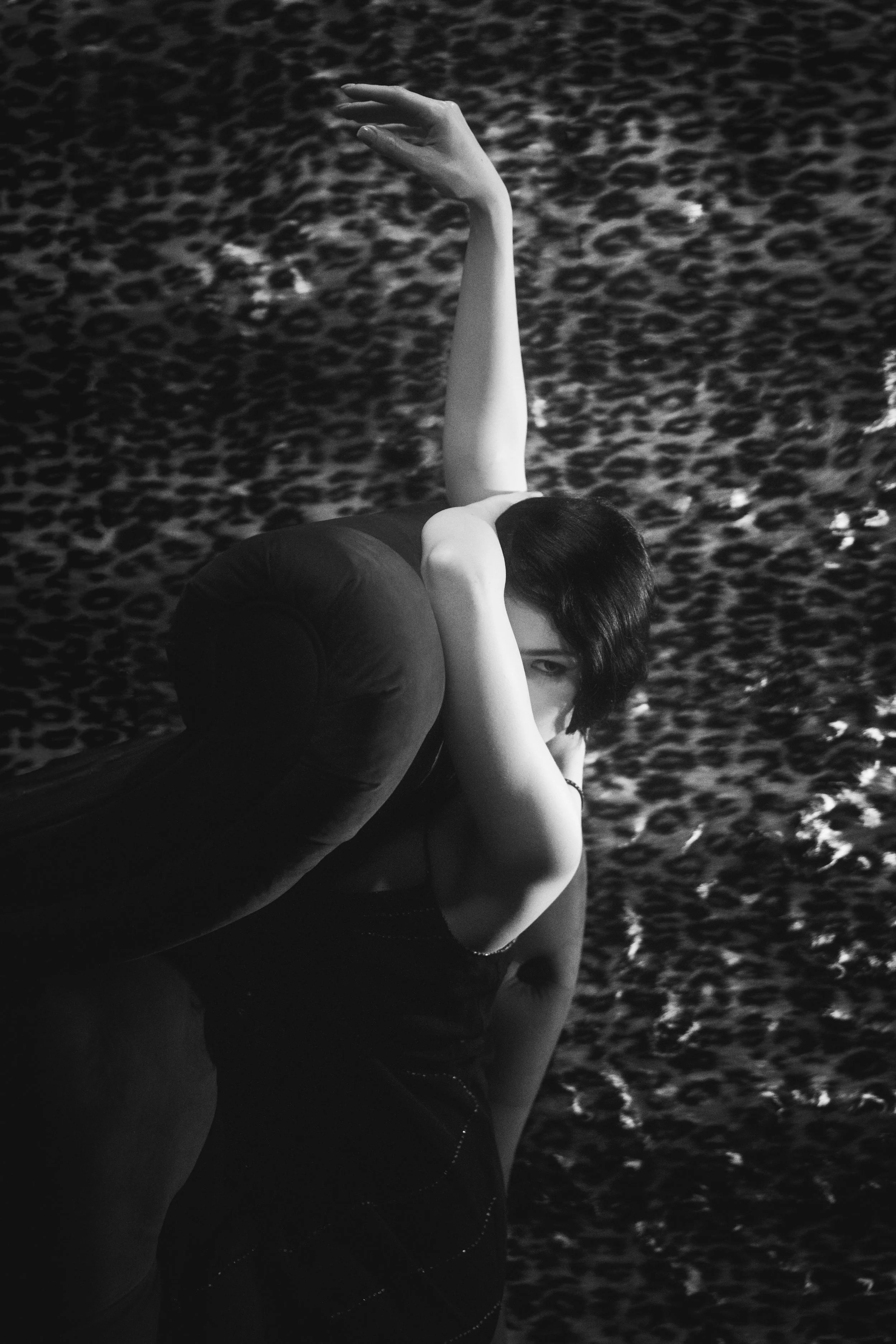 @PhotosByBrendaBrooks Mica 1.23.26 - 7.jpg