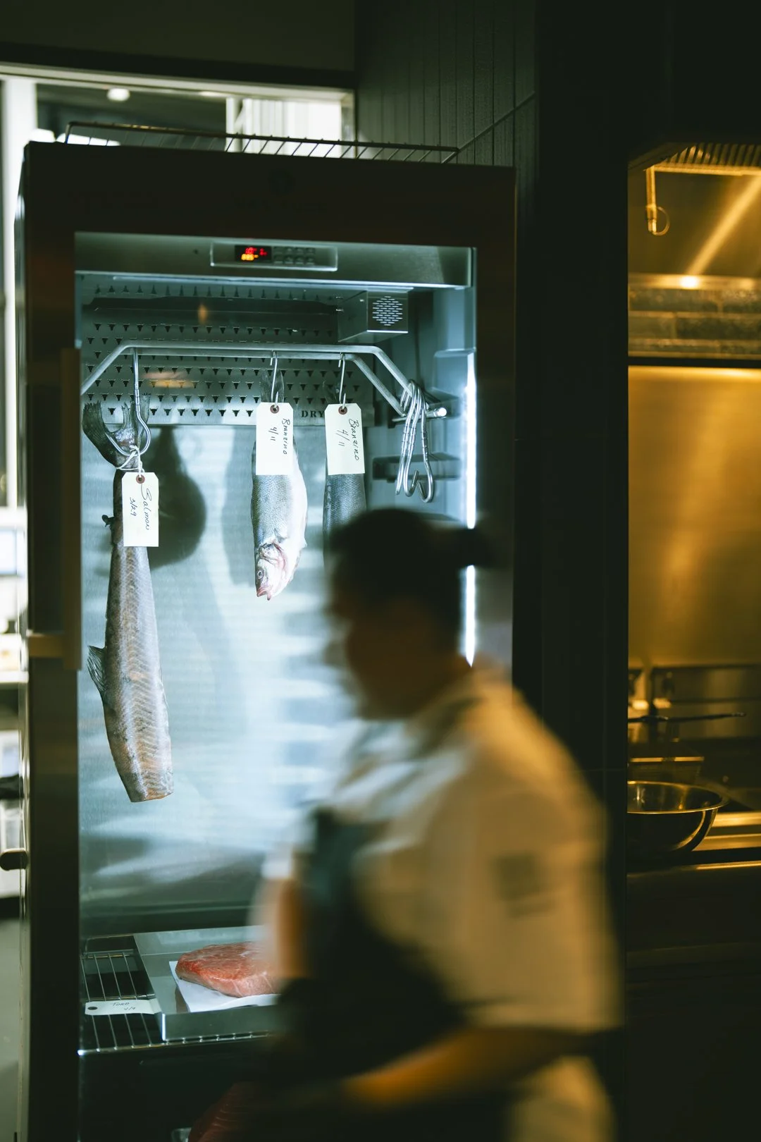 @PhotosByBrendaBrooks Shiso 4.11.25 - 82.JPG