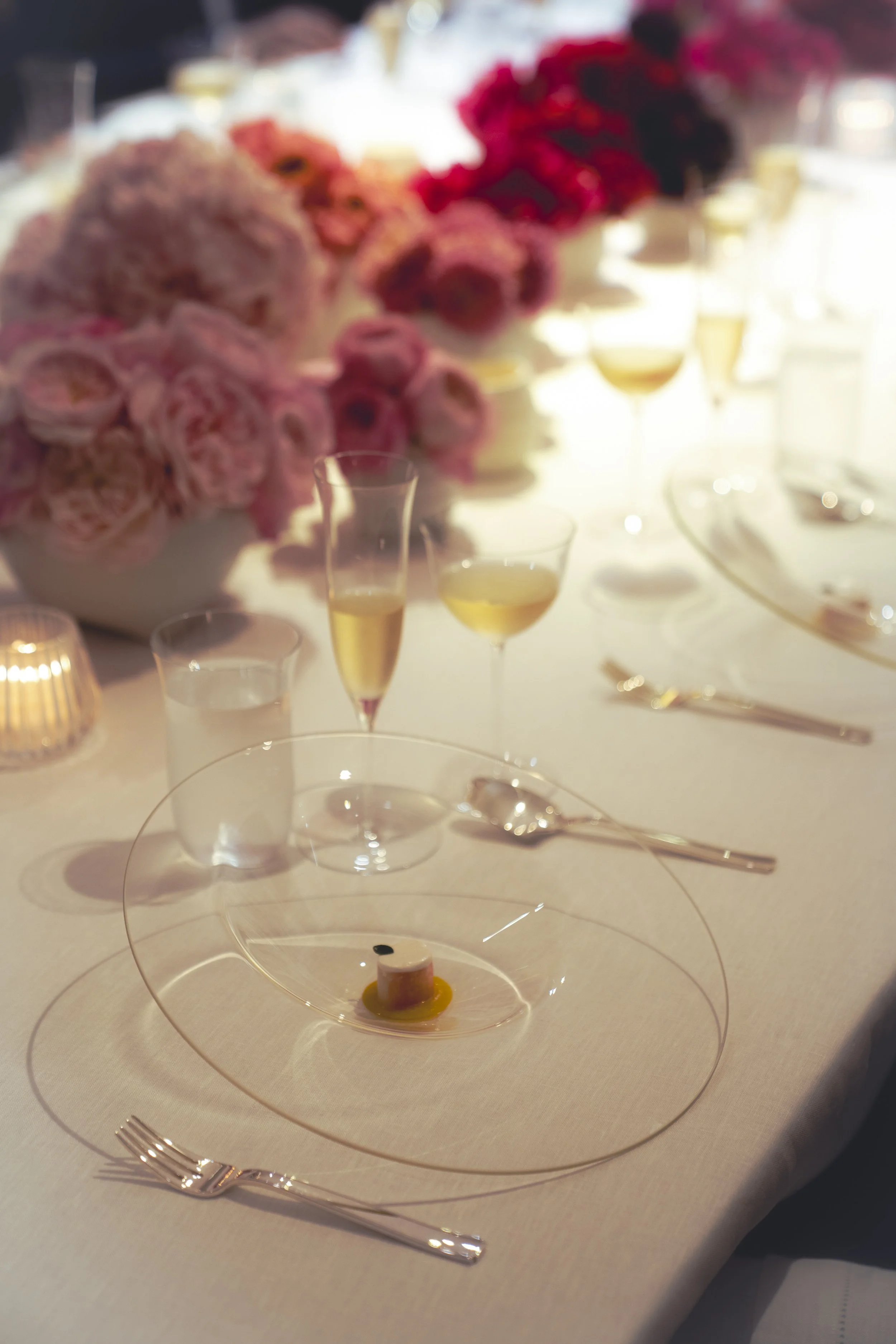 @PhotosByBrendaBrooks VCA 2.17.26 - 1.JPG