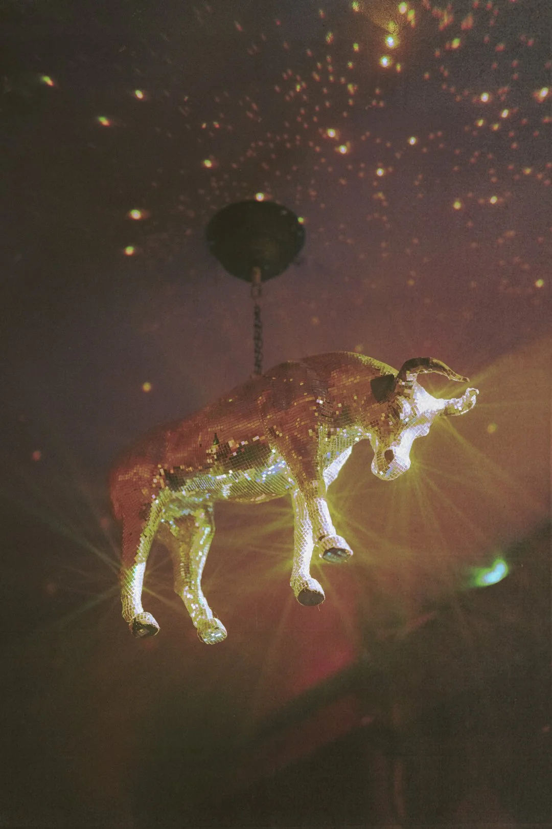 @PhotosByBrendaBrooks TP Saloon 4.14.24 - 13.JPG