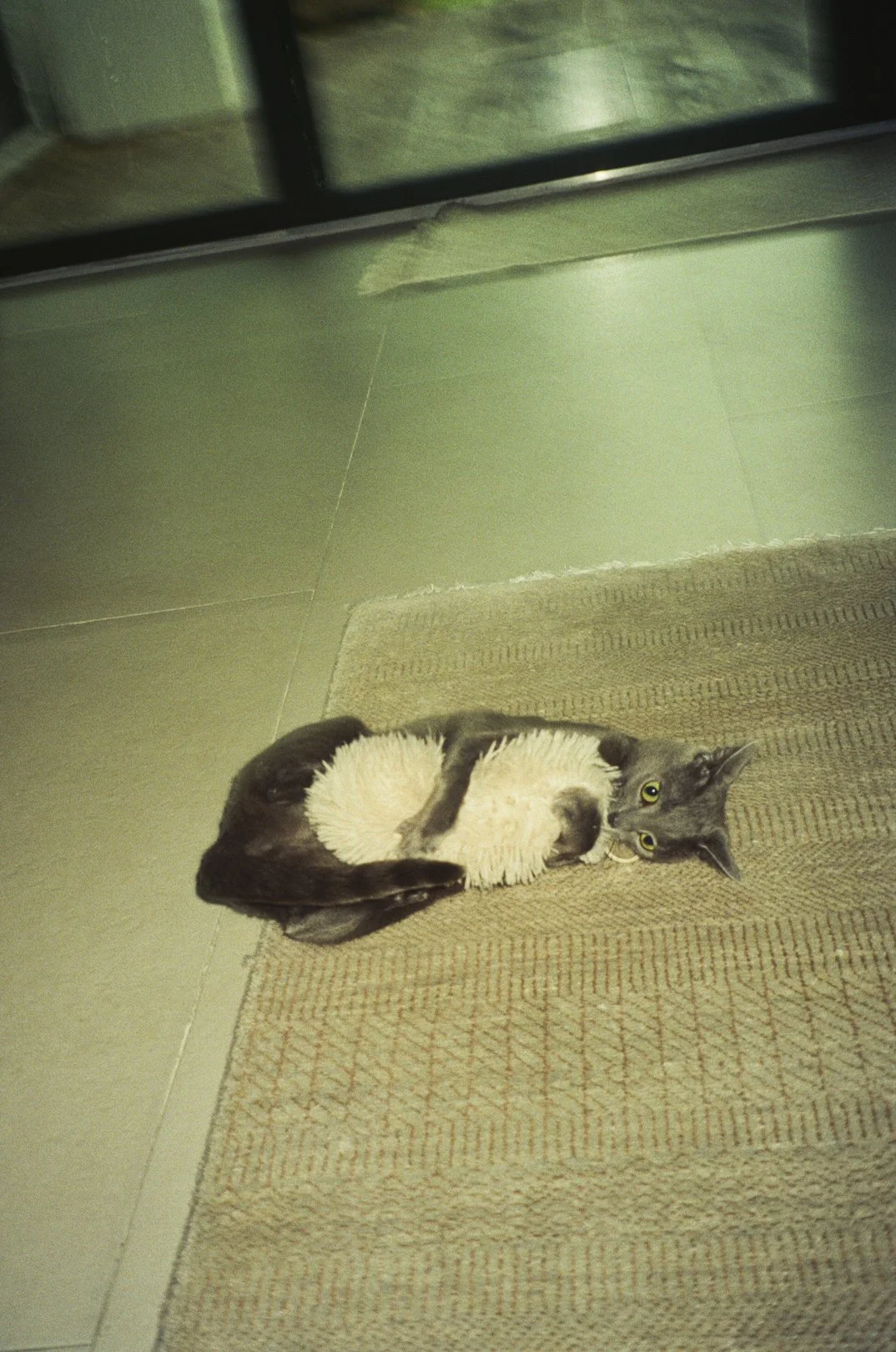 @FilmByBrendaBrooks 9.16.25 - 3.JPG