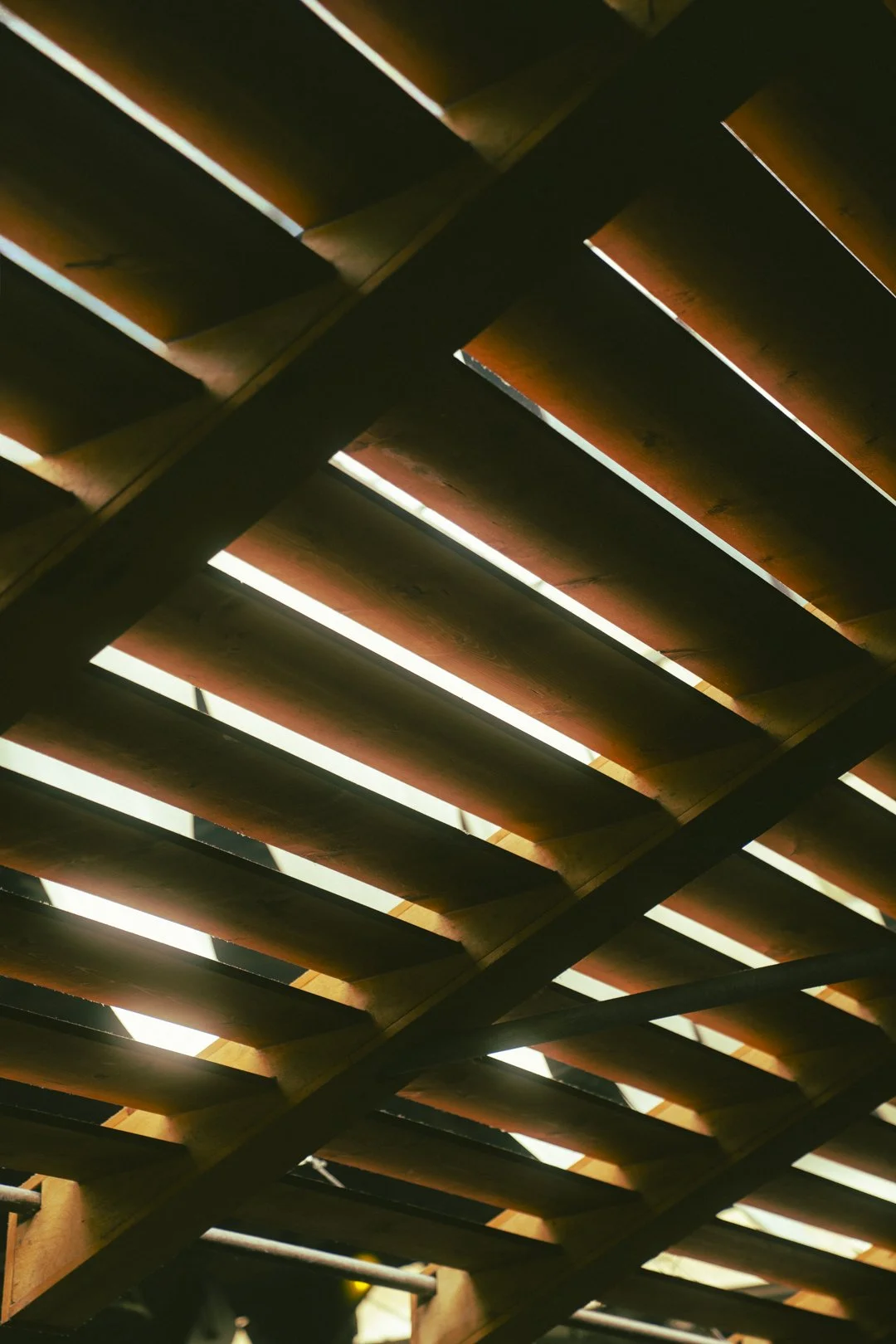 @PhotosByBrendaBrooks Space 12.8.25 - 36.JPG