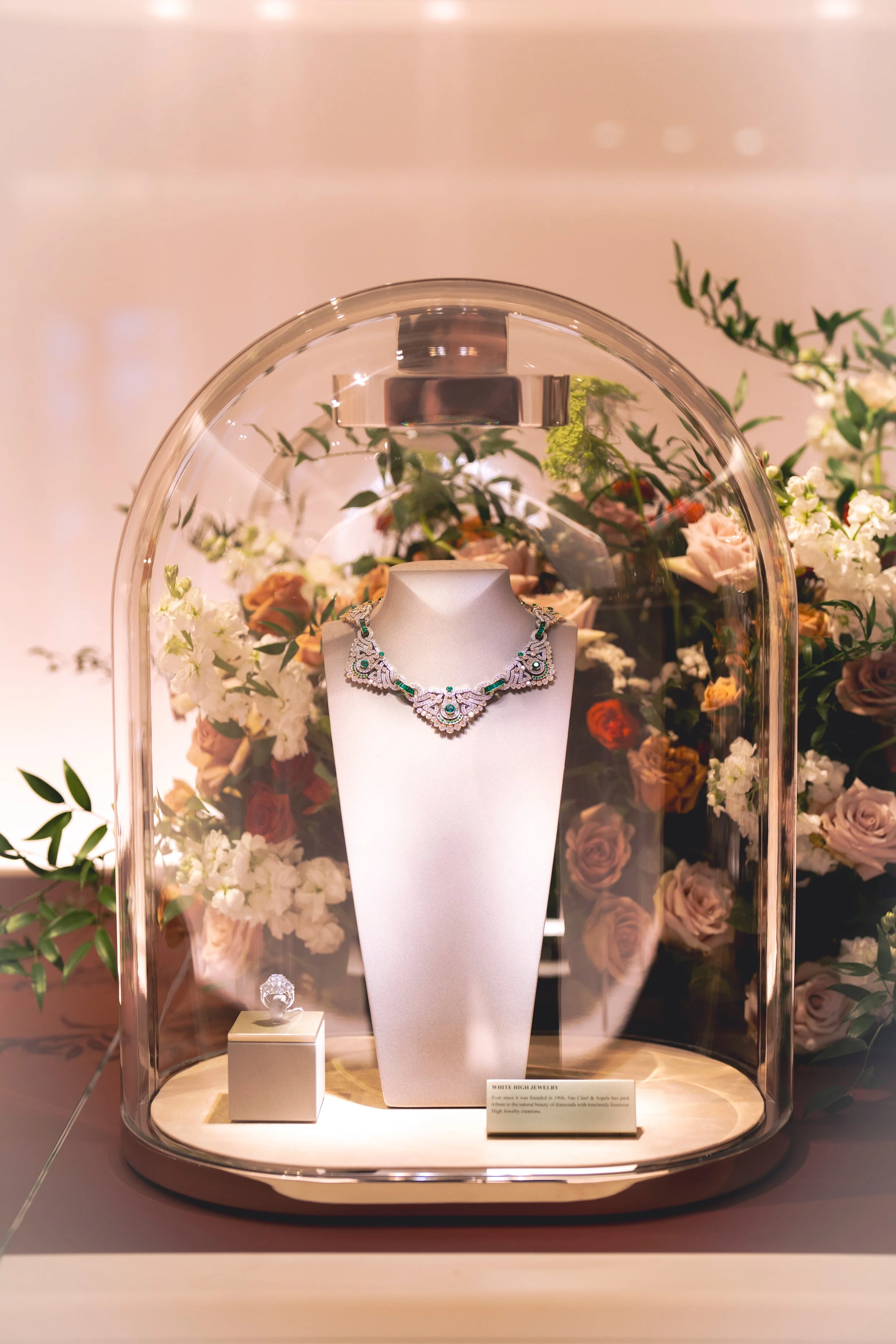 @PhotosByBrendaBrooks VCA 11.16.23 - 1 (2).JPEG