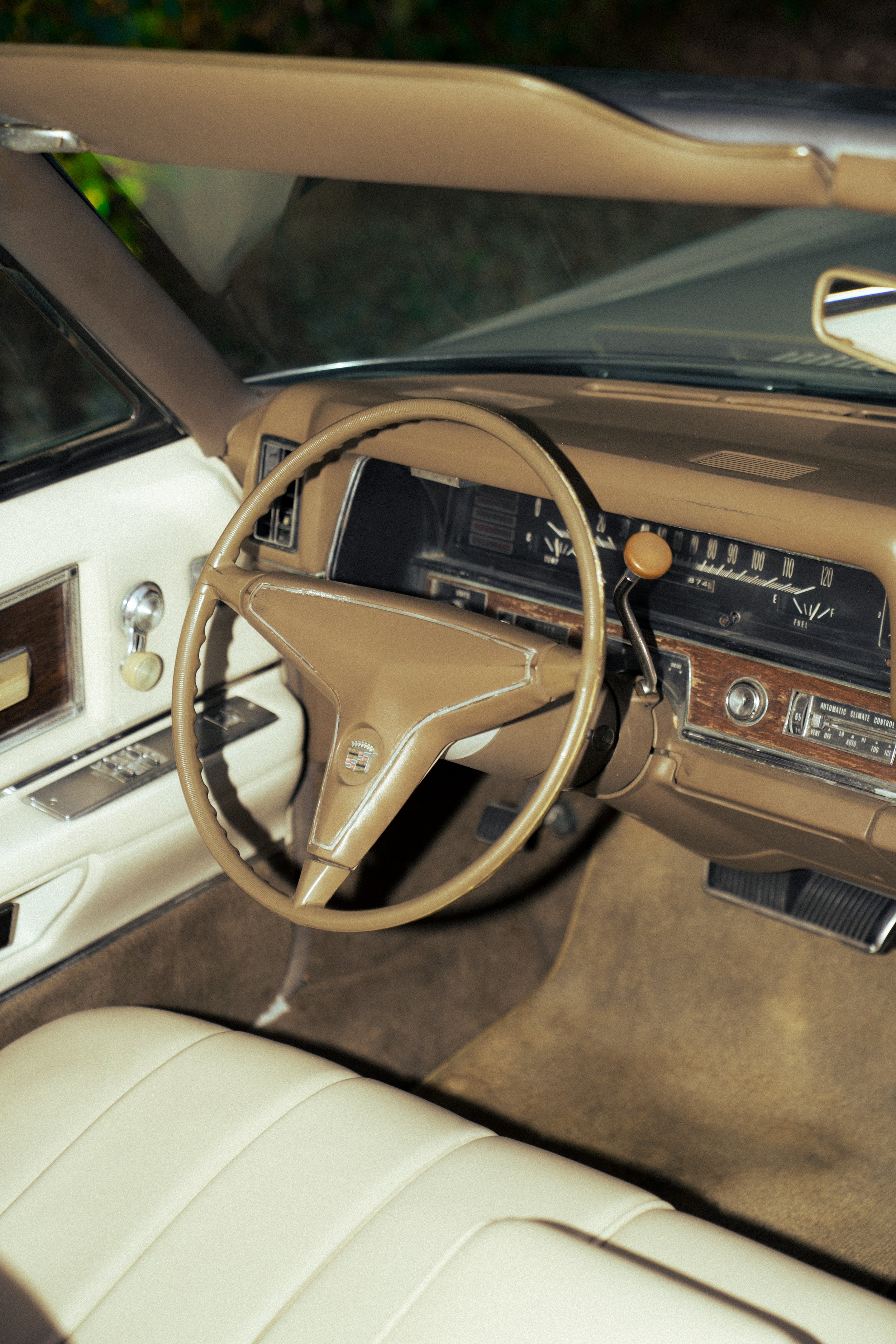 @PhotosByBrendaBrooks Cadillac 1.29.26 - 4.JPG