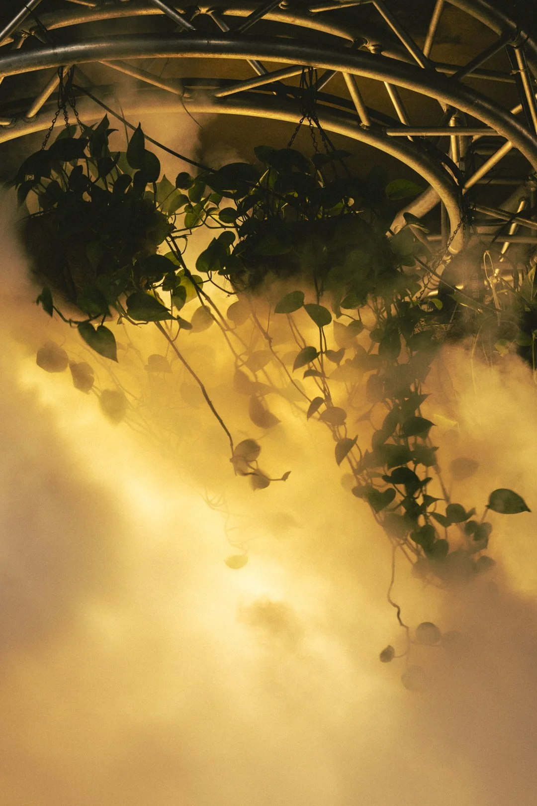 @PhotosByBrendaBrooks Space 12.8.25 - 52.JPG