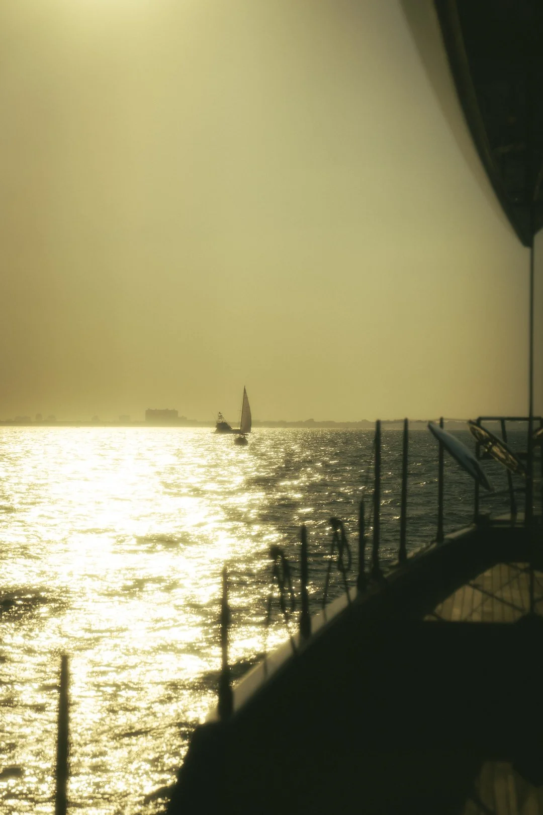 @PhotosByBrendaBrooks 3.9.25 - 67.JPG